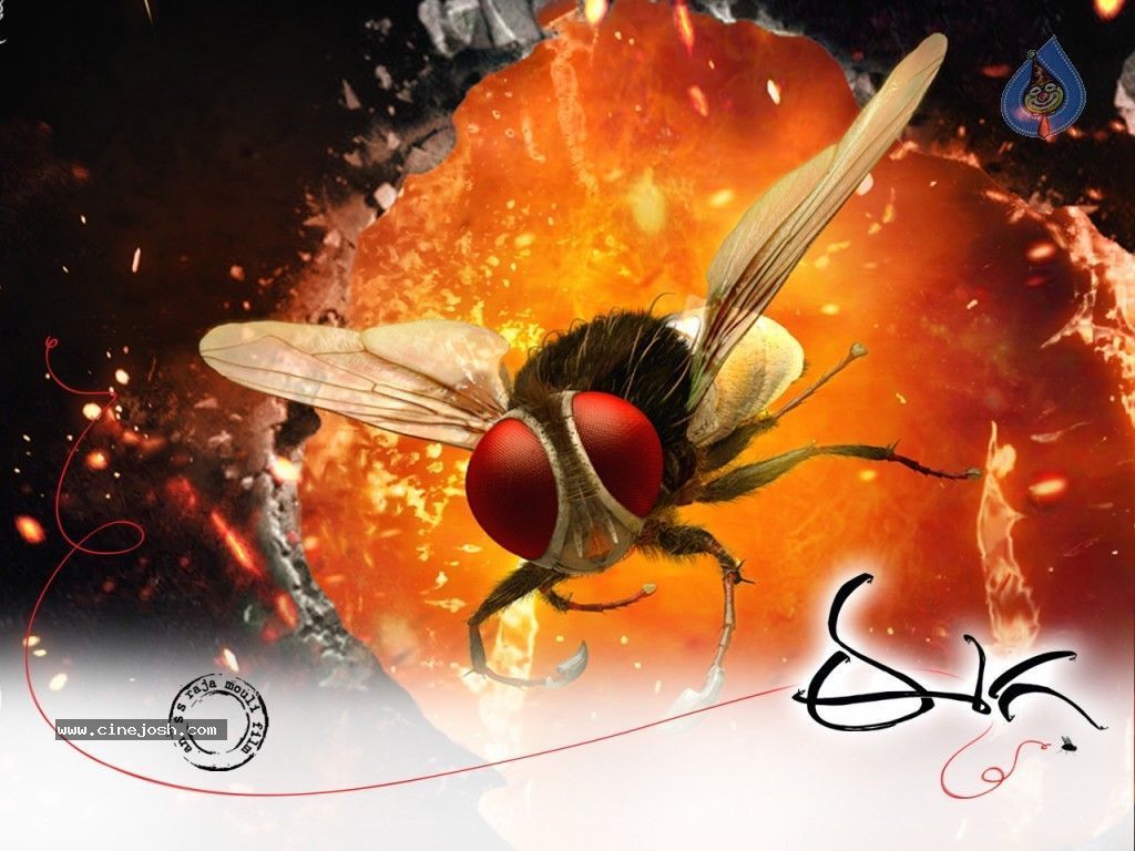 1024x768 Eega Movie Wallpaper 14 of 14