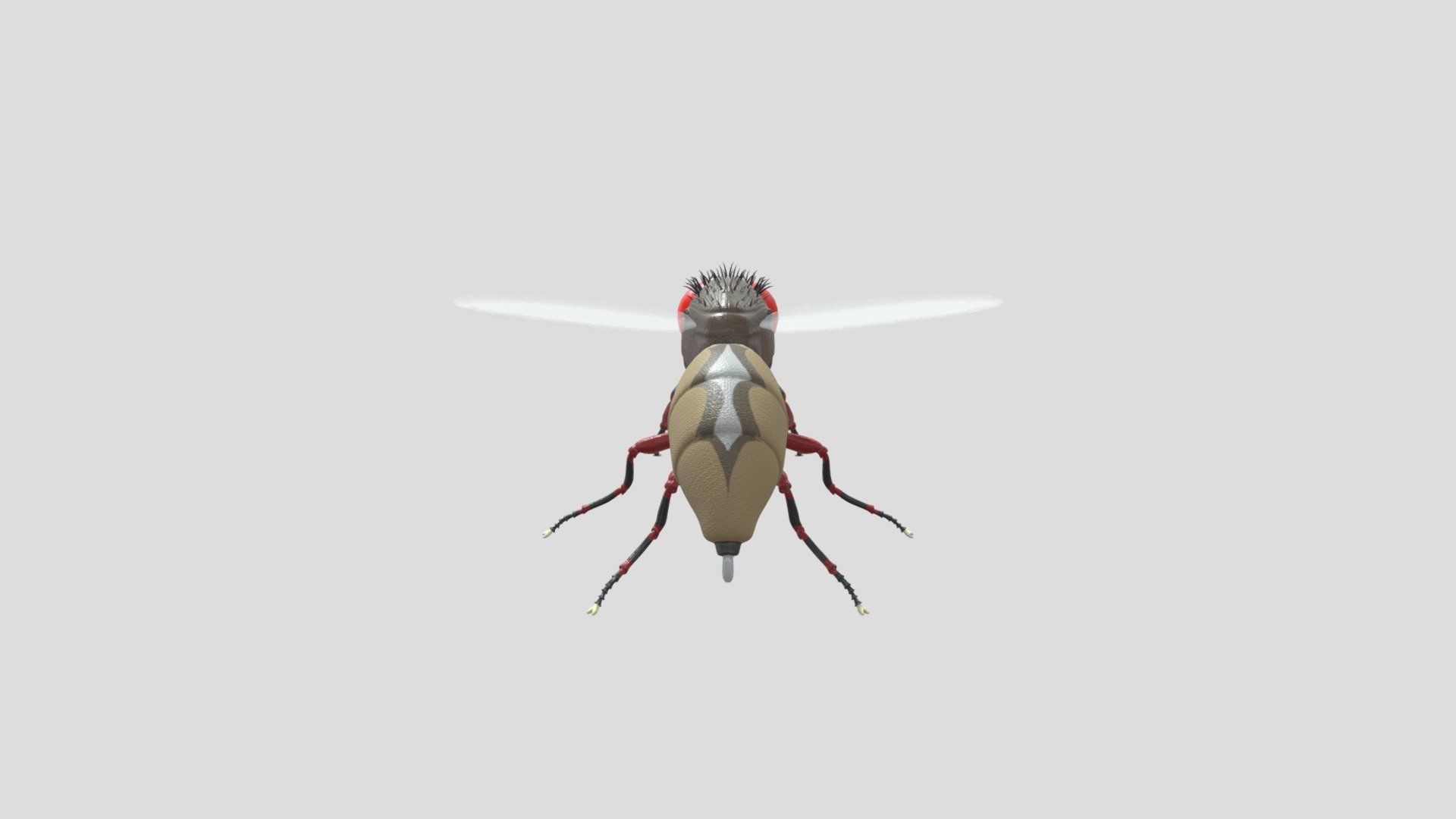 1920x1080 Eega[Fly] model