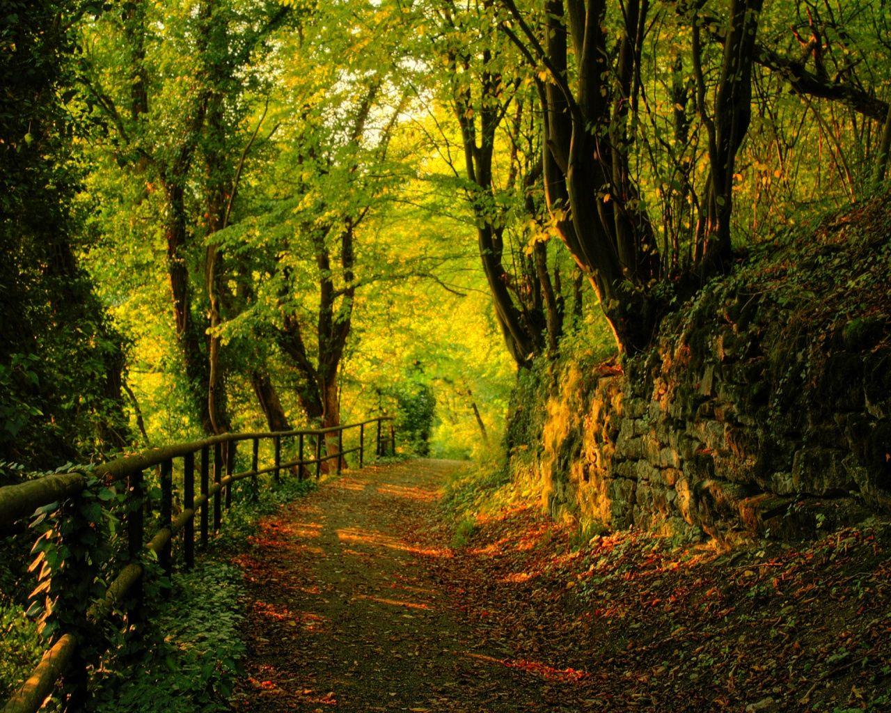 1280x1024 Autumn desktop PC and Mac wallpaper