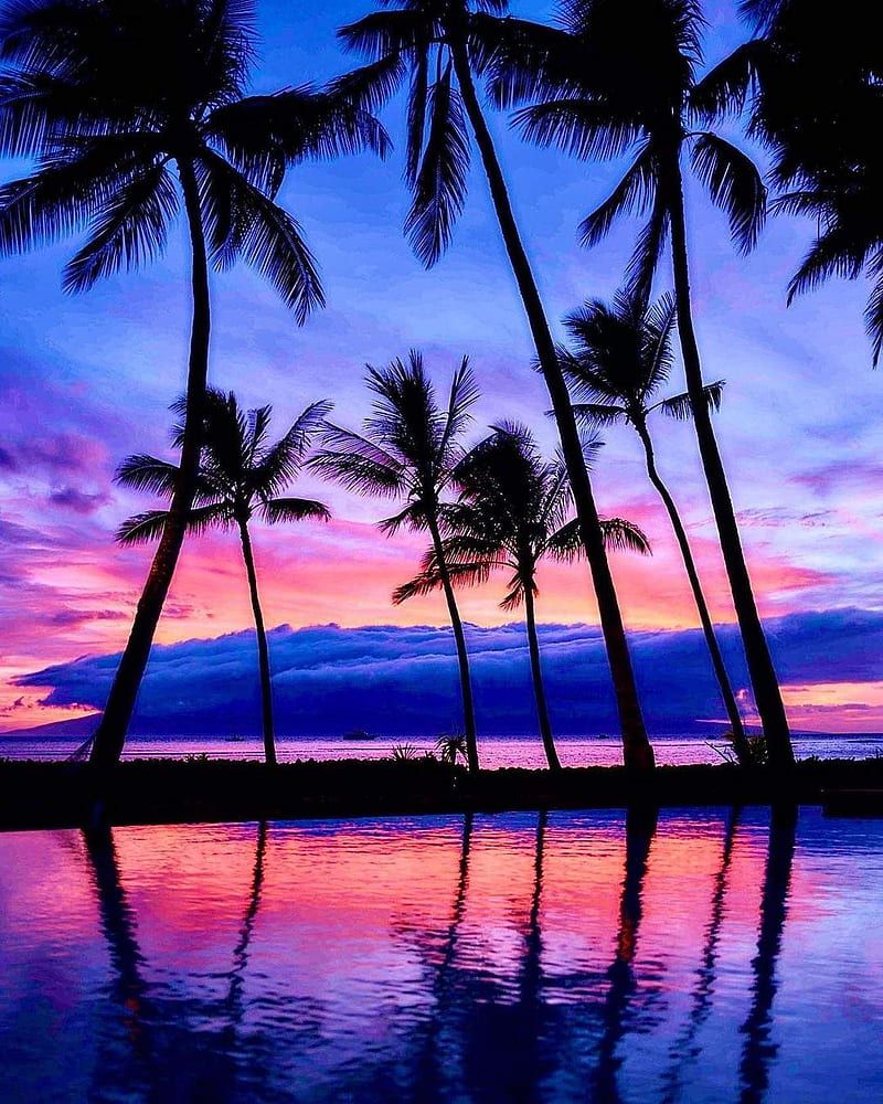 800x1000 HD tropical beach sunset wallpaper