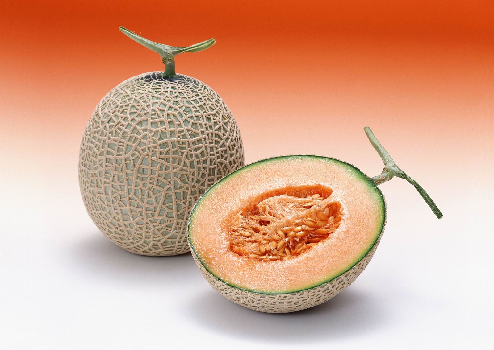 1600x1135 Download Cantaloupe Food Melon Wallpaper