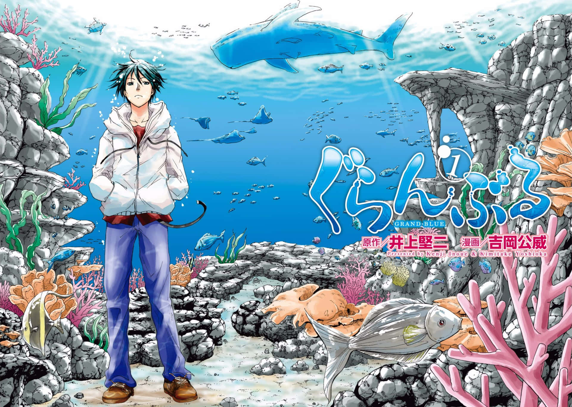 1920x1366 Grand Blue Background