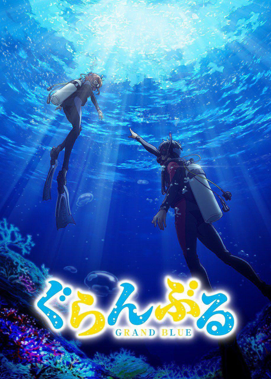 916x1280 Grand Blue Dreaming Wallpaper