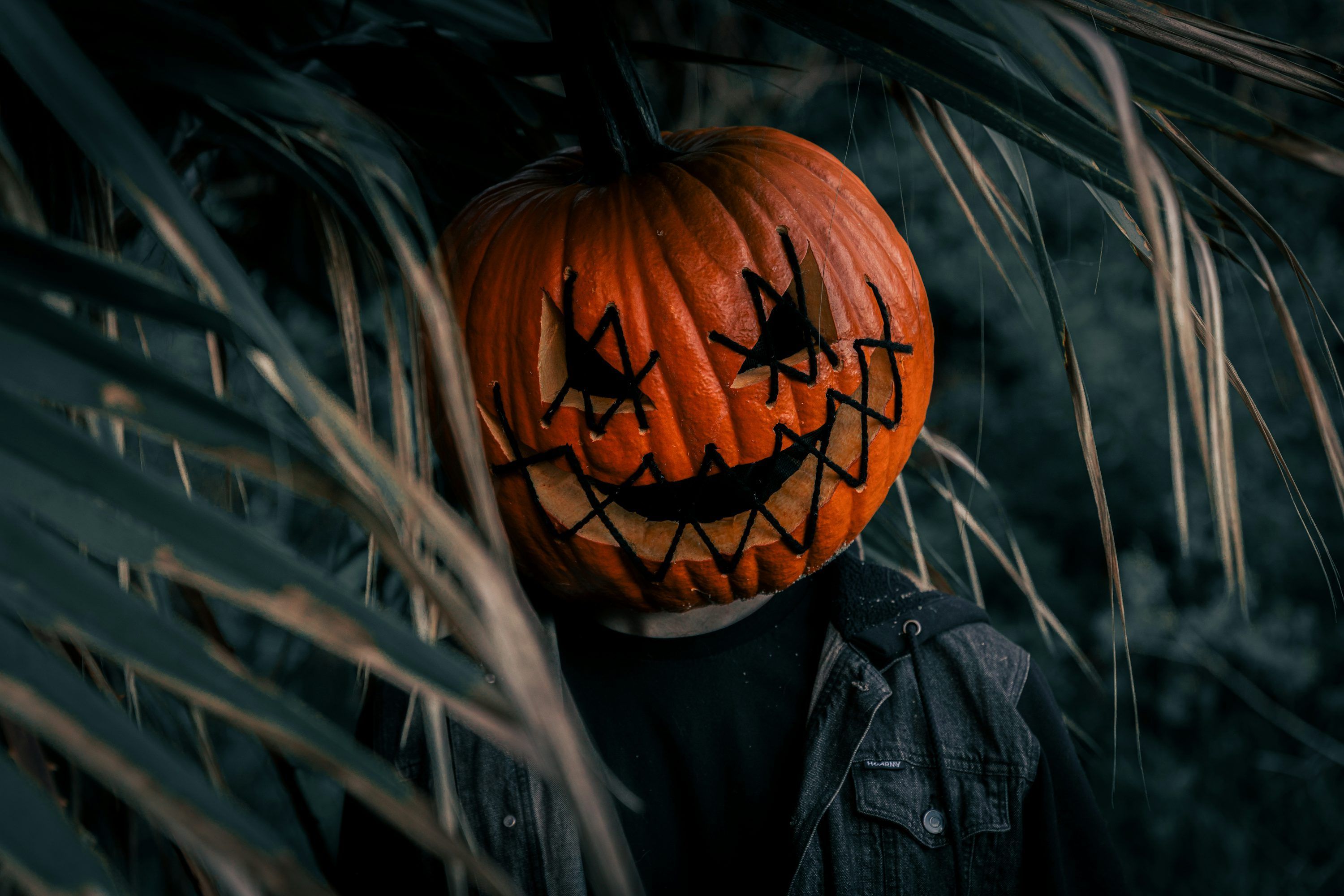 3000x2000 jack o lantern pumpkin mask