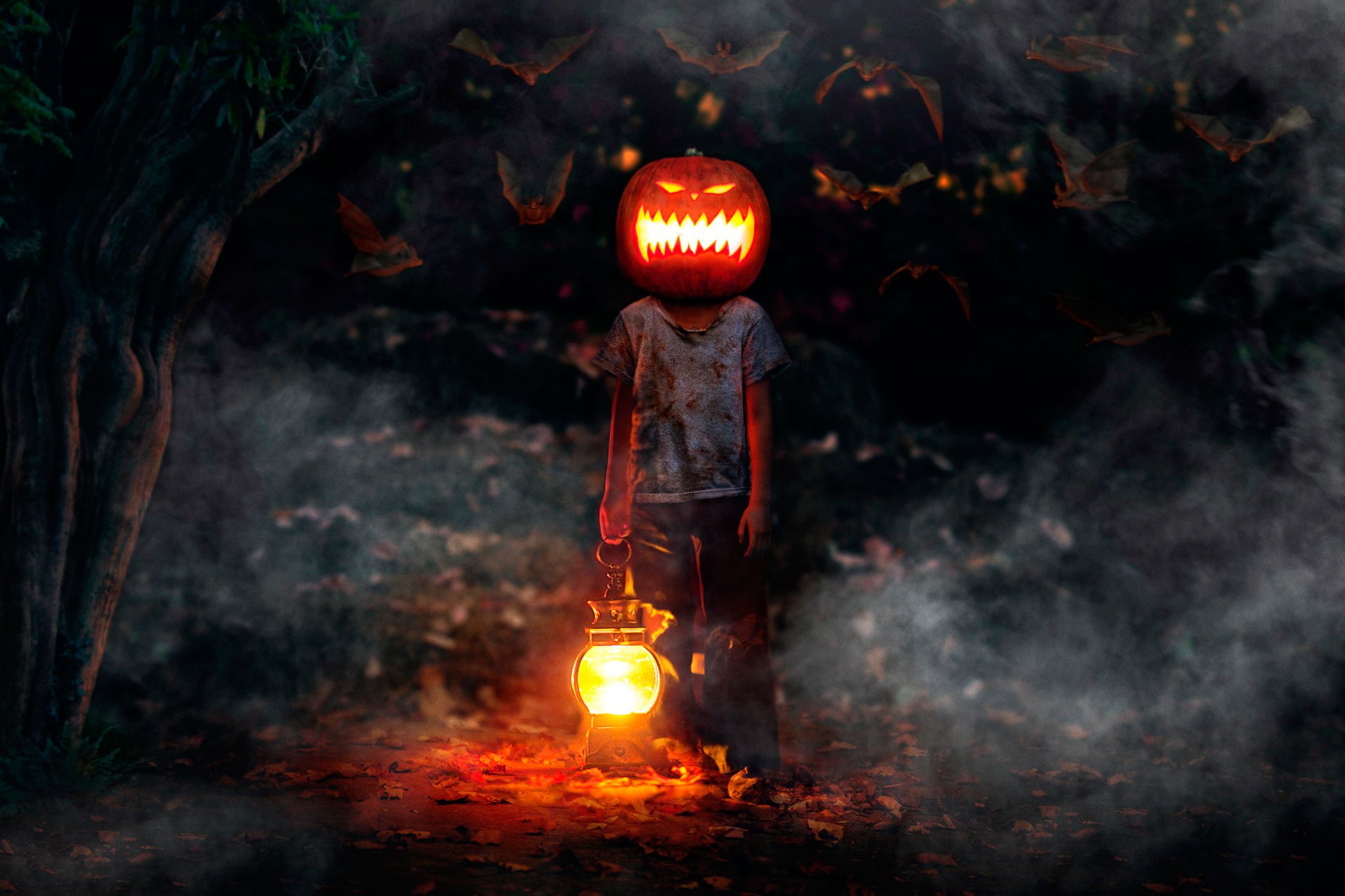 2048x1365 Wallpaper boy, pumpkin, bats, horror