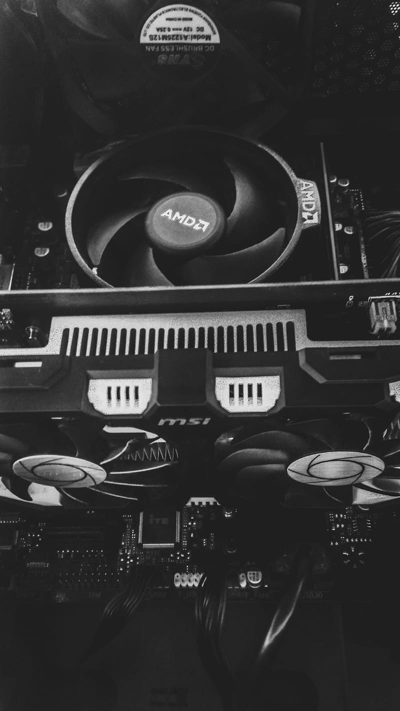 800x1422 ryzen, HD phone wallpaper