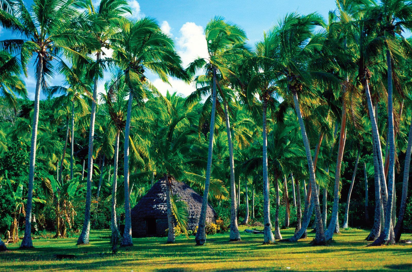 1600x1056 New Caledonia. History, Geography