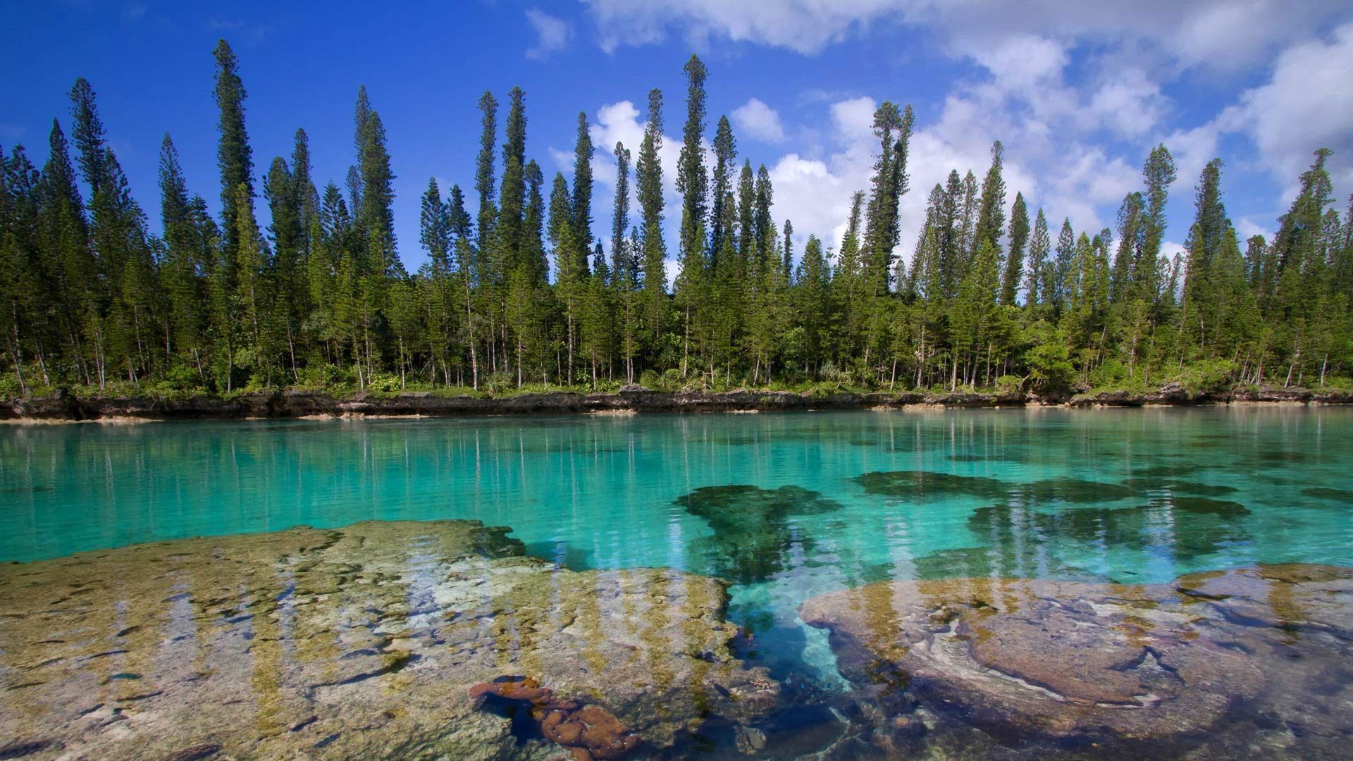 1920x1080 New Caledonia, Pacific ocean, trees