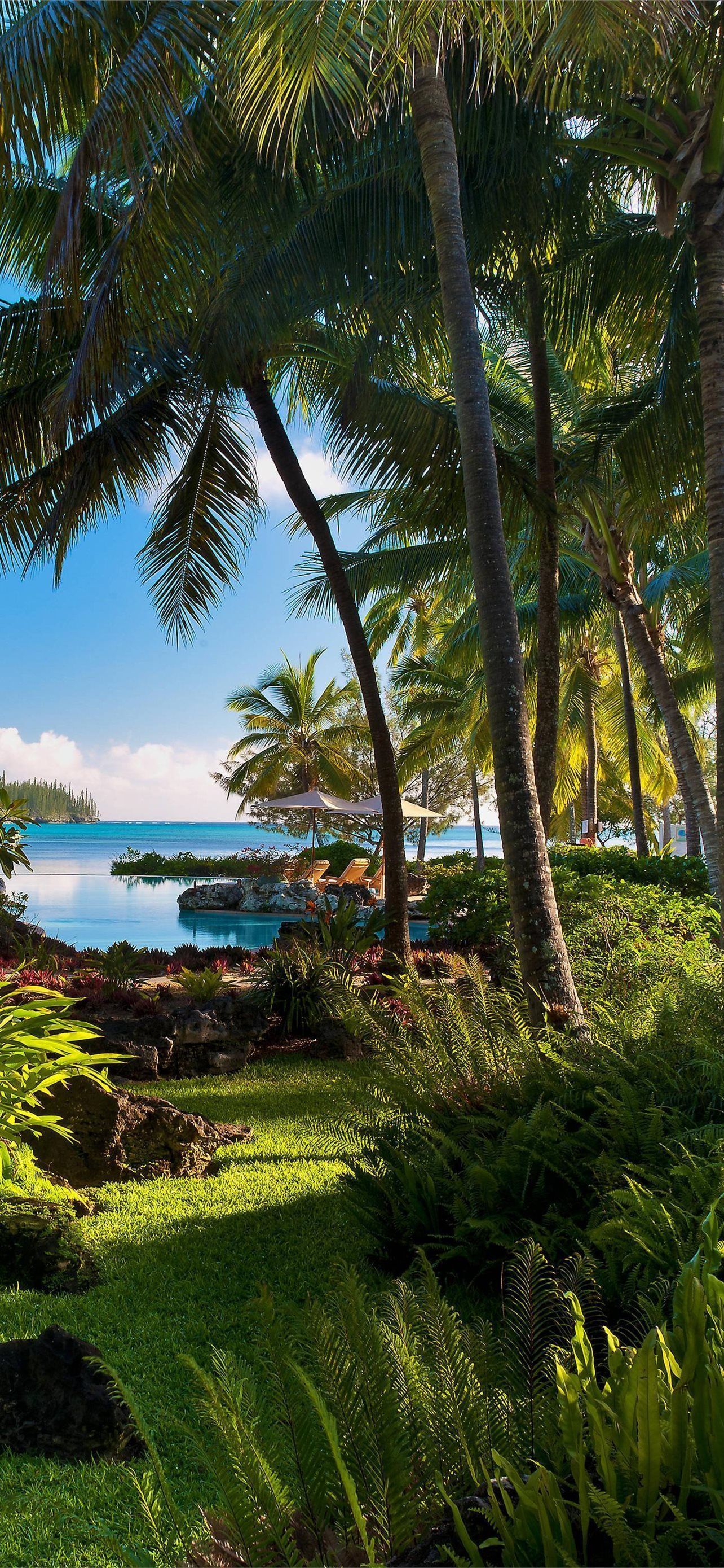 1284x2778 Best New caledonia iPhone HD Wallpaper