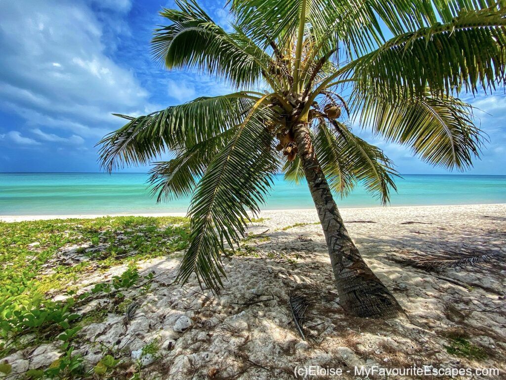 1024x768 Ouvea the best island in New Caledonia