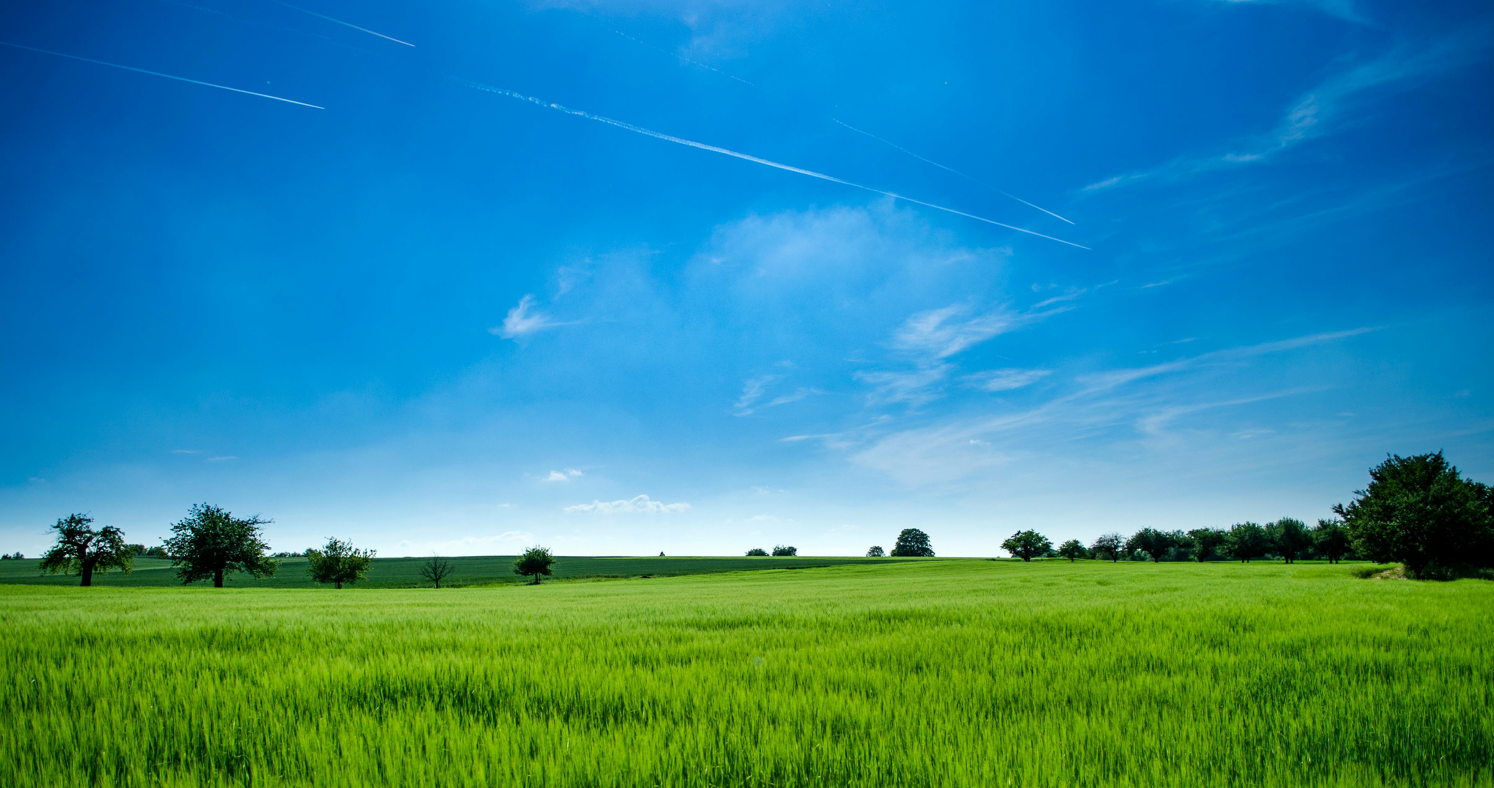 4831x2548 Green Field Photo, Download The BEST