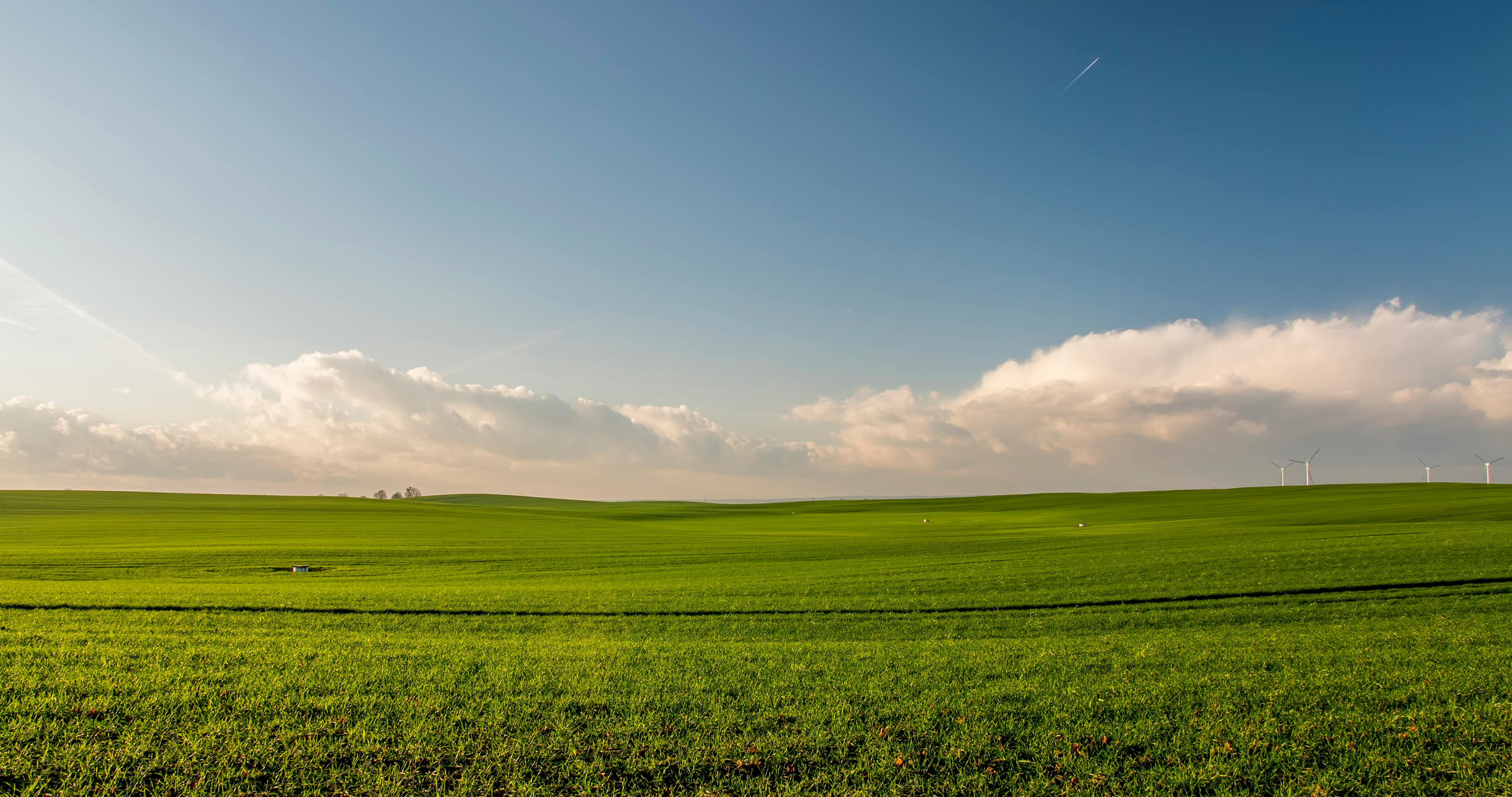 4096x2160 Green Field Photo, Download The BEST