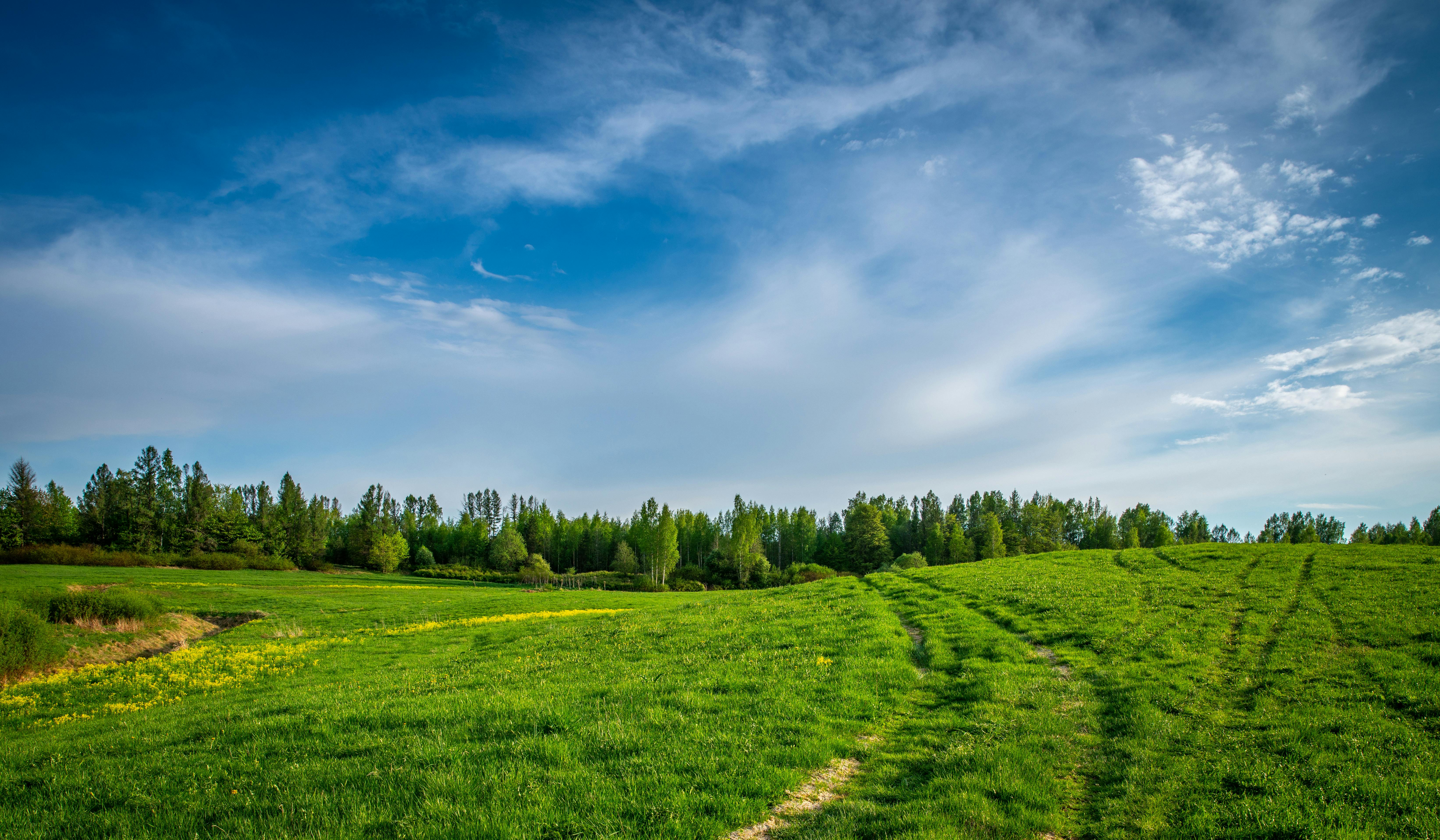 6571x3833 Green Field Photo, Download The BEST