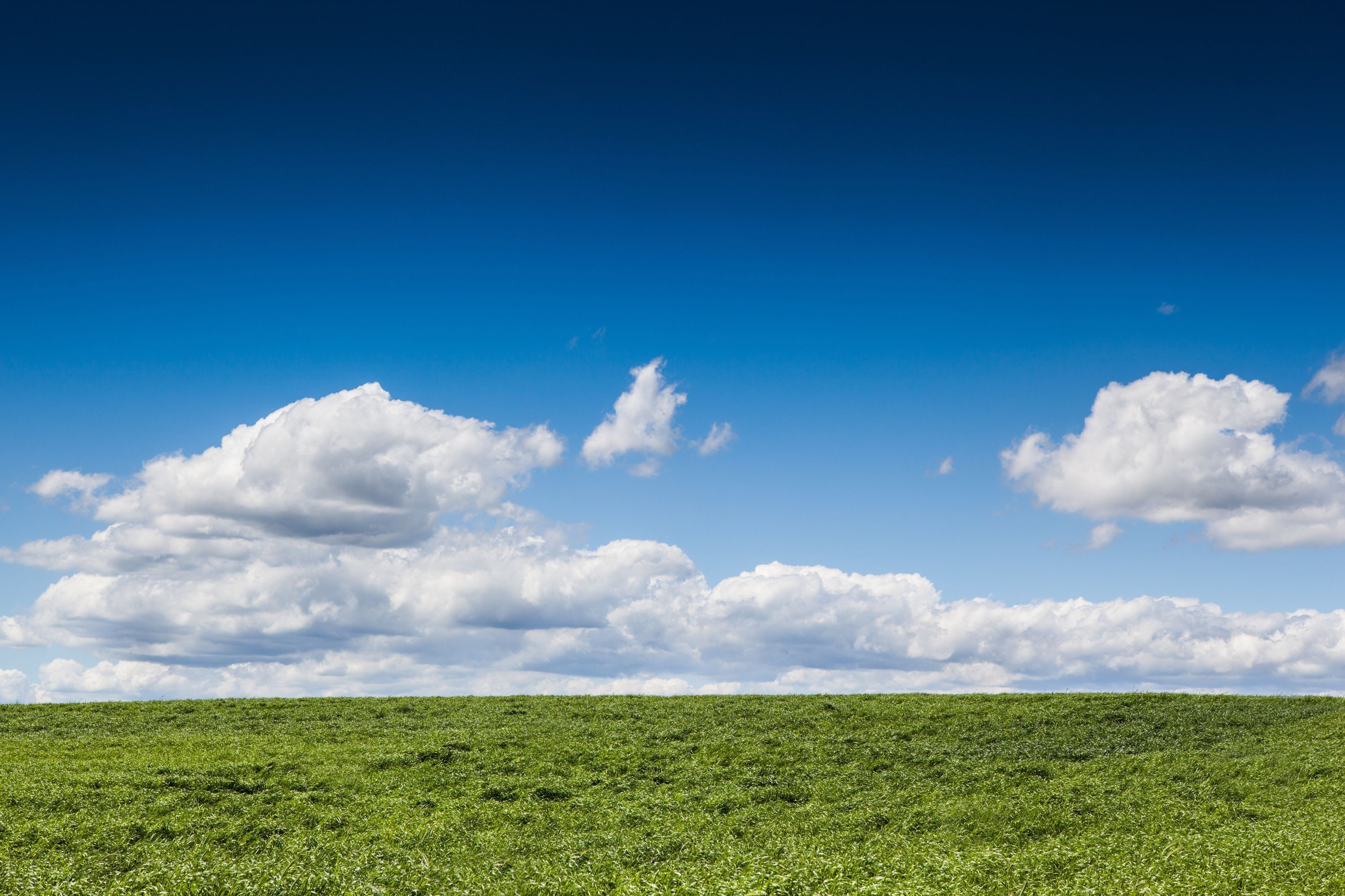 3200x2133 View Of Great Green Field Wall Mural