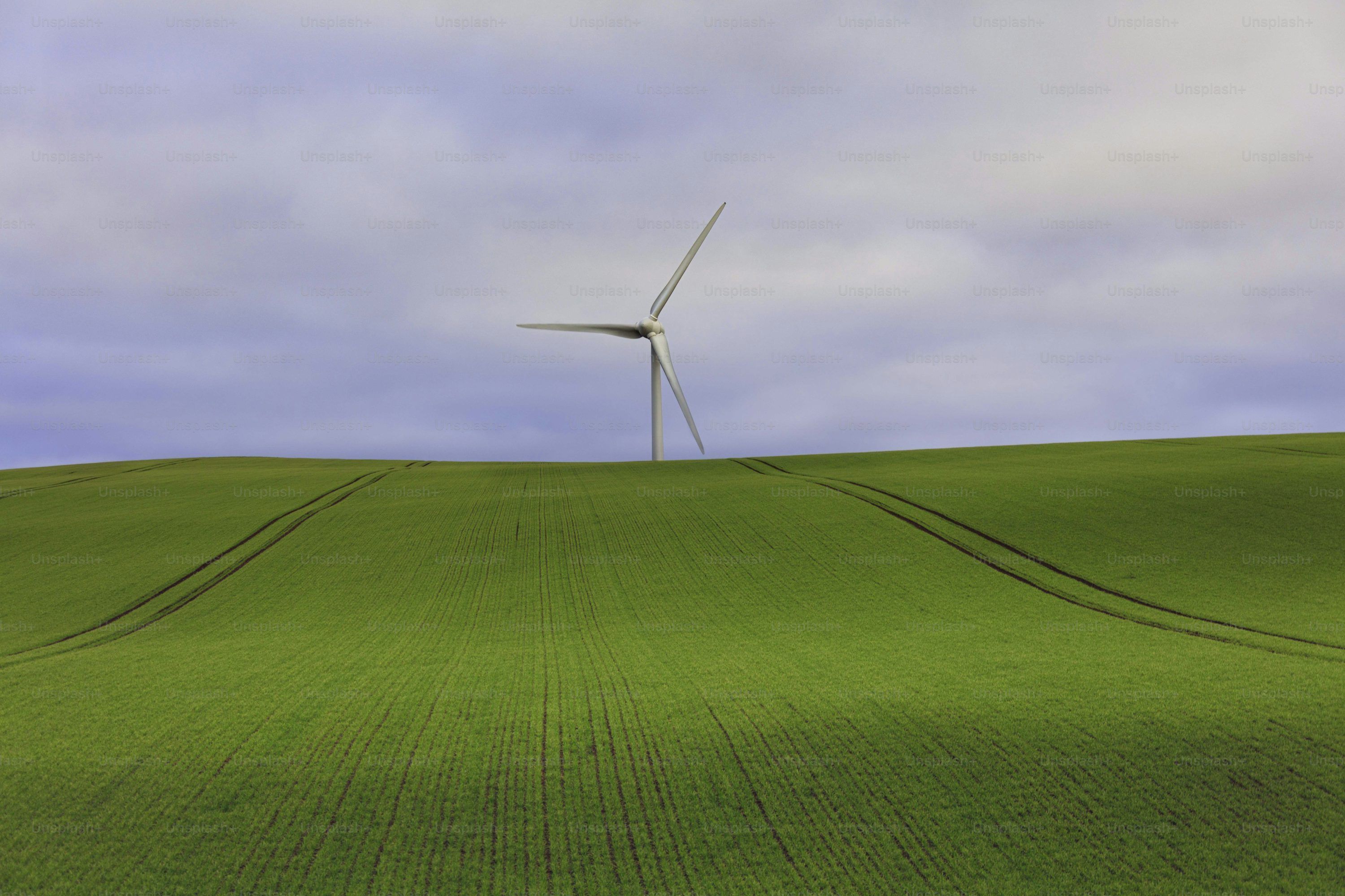 3000x2000 Green Field Picture. Download