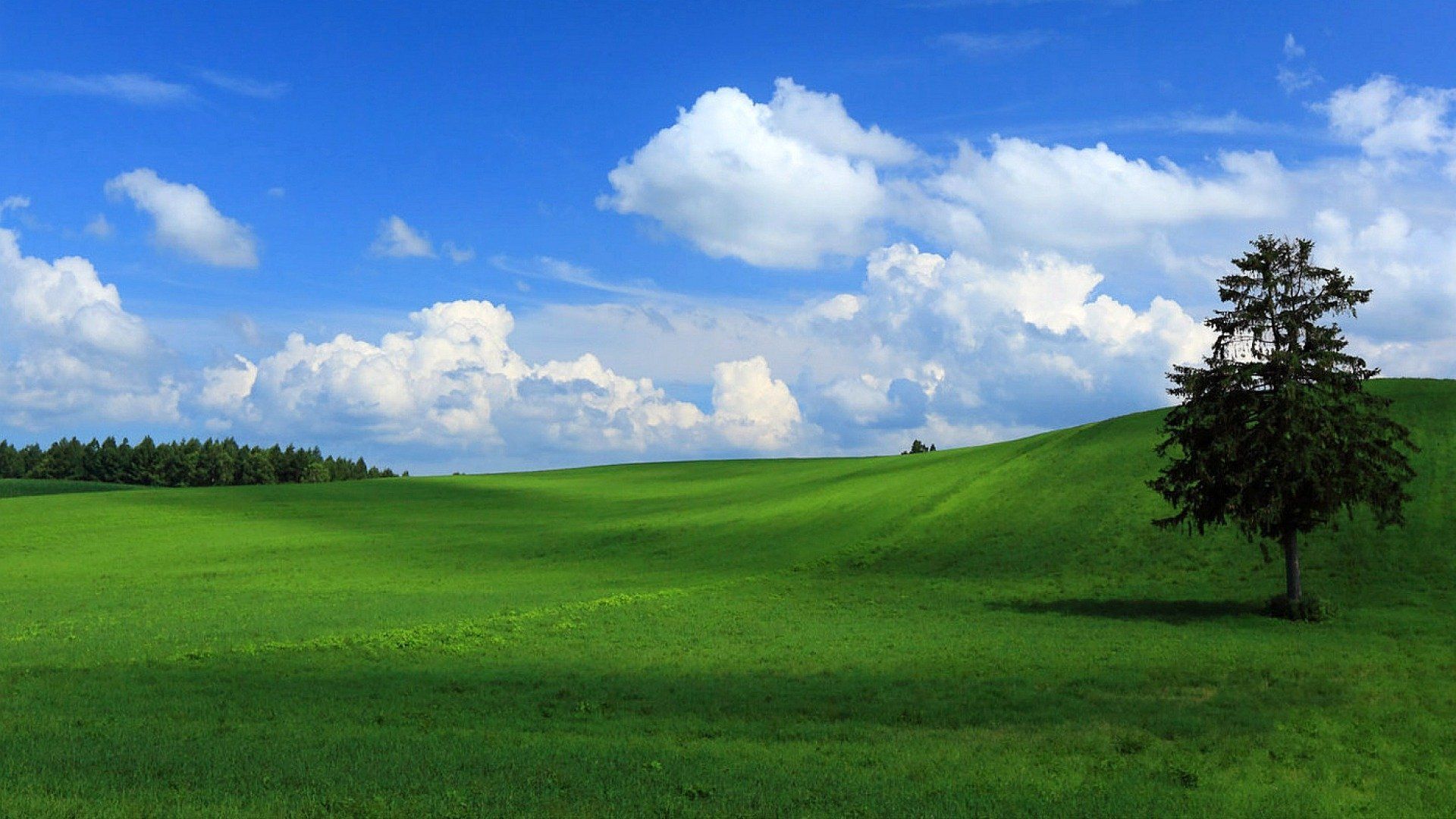 1920x1080 Nature Field HD Wallpaper