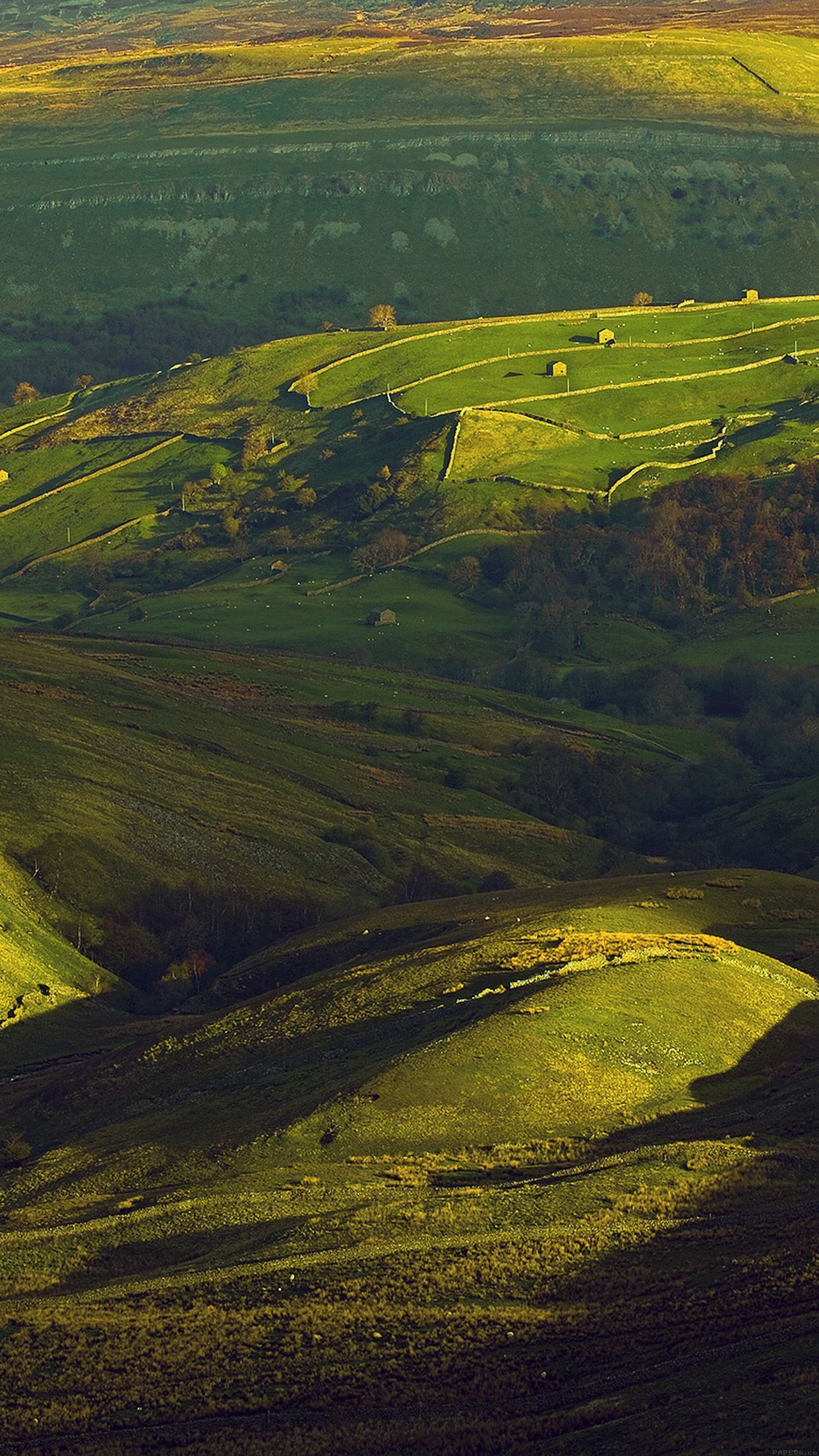 1242x2208 Green Field Nature Mountain Wallpaper