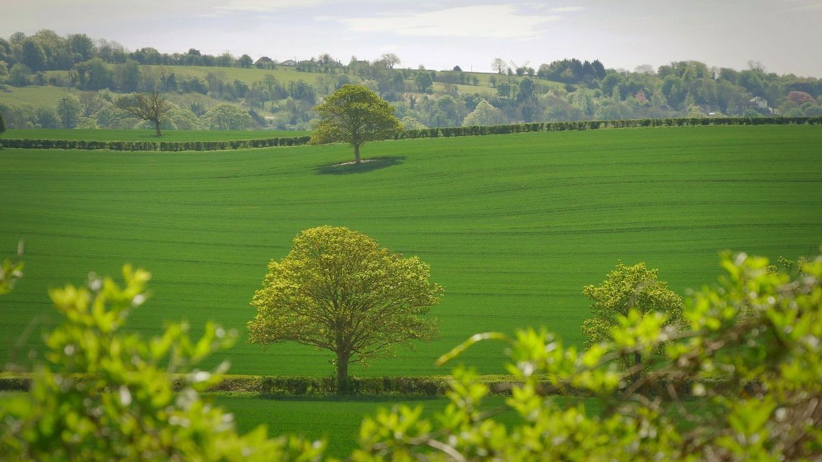 1200x675 HD Desktop Background With green field