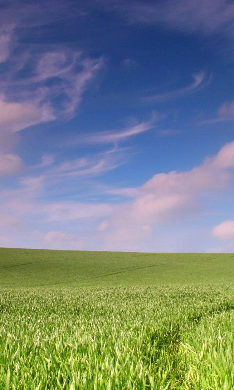 768x1280 Clear Blue Sky Wallpaper