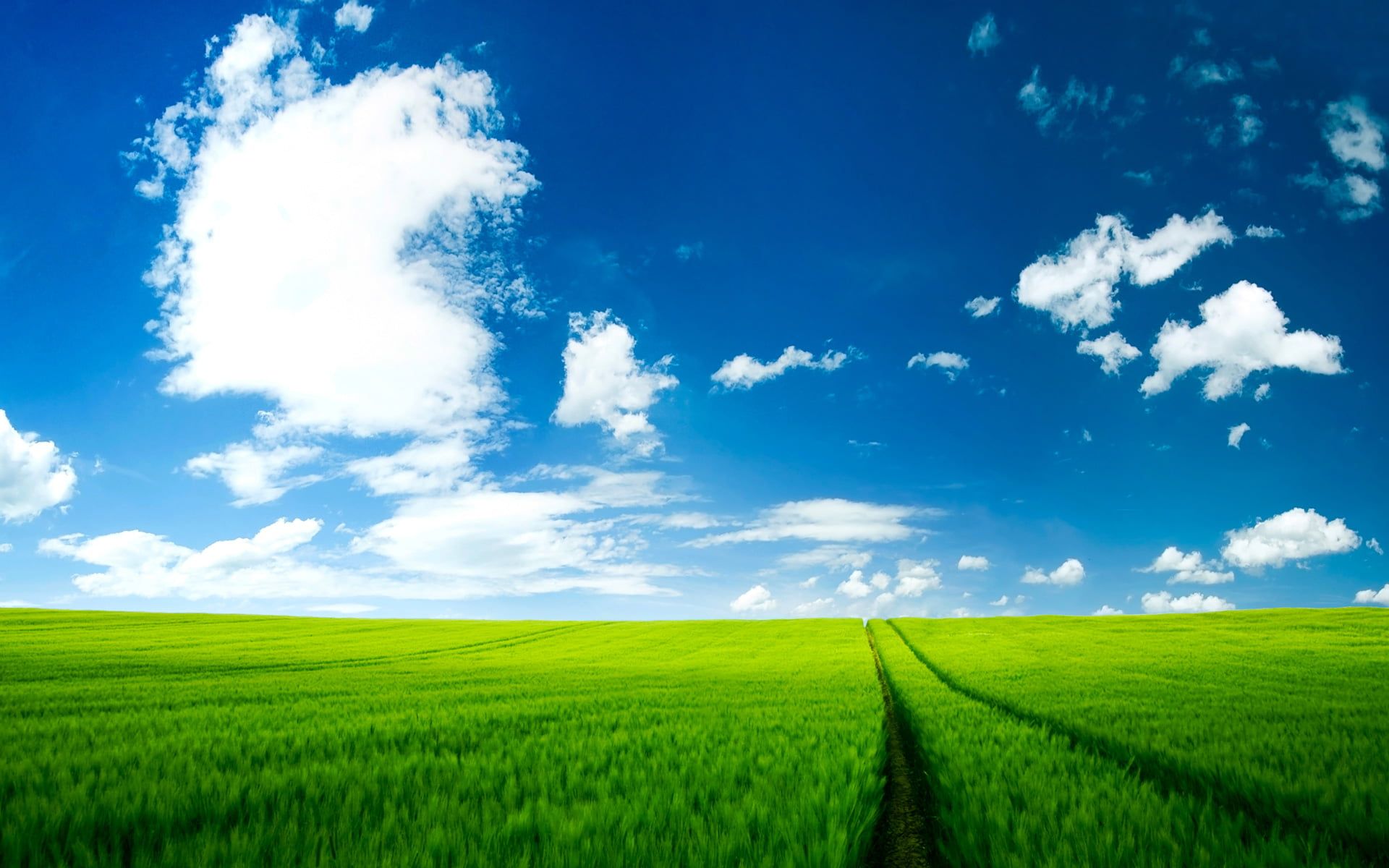 1920x1200 under cloudy sky HD wallpaper