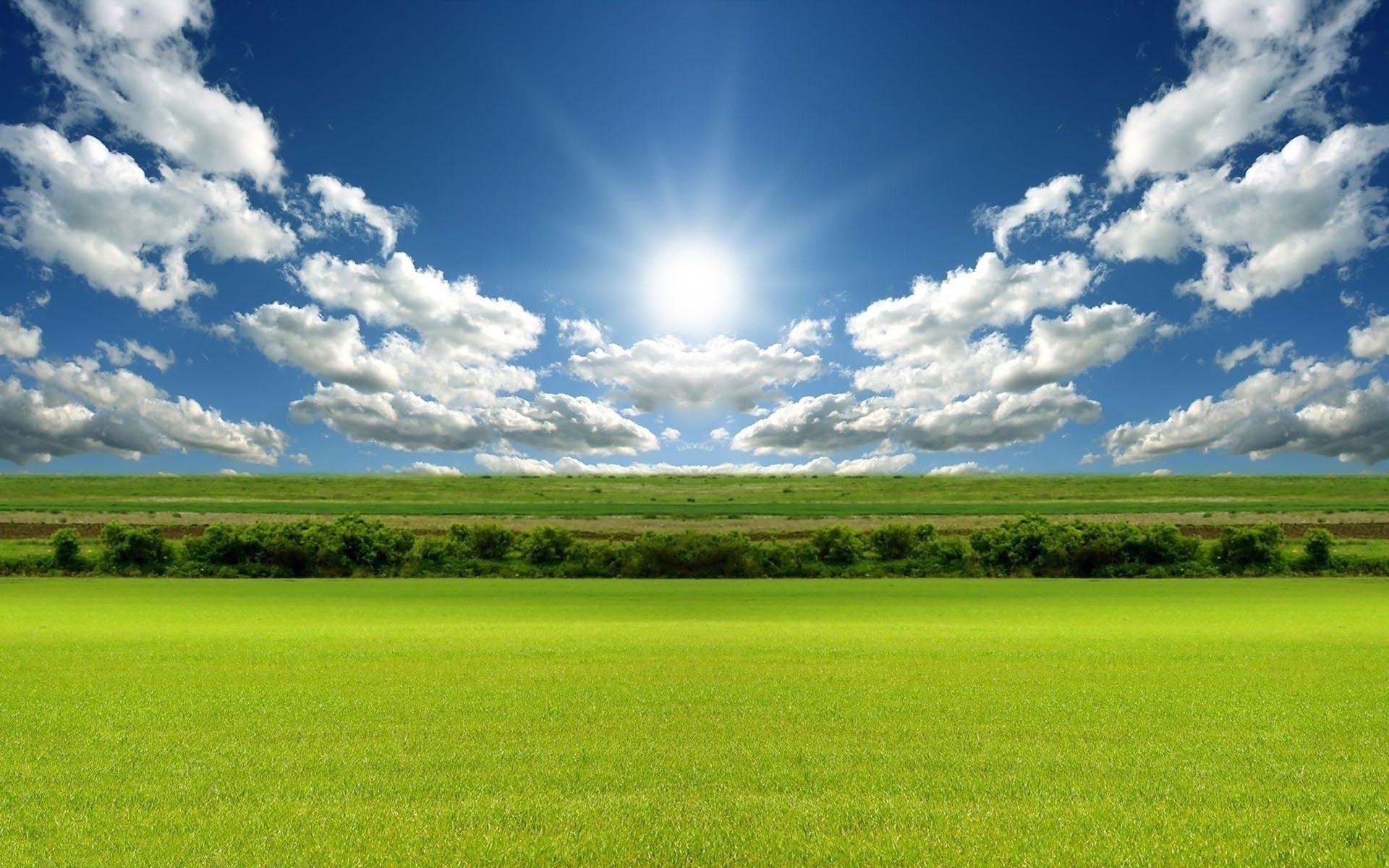 1920x1200 Green Field Wallpaper