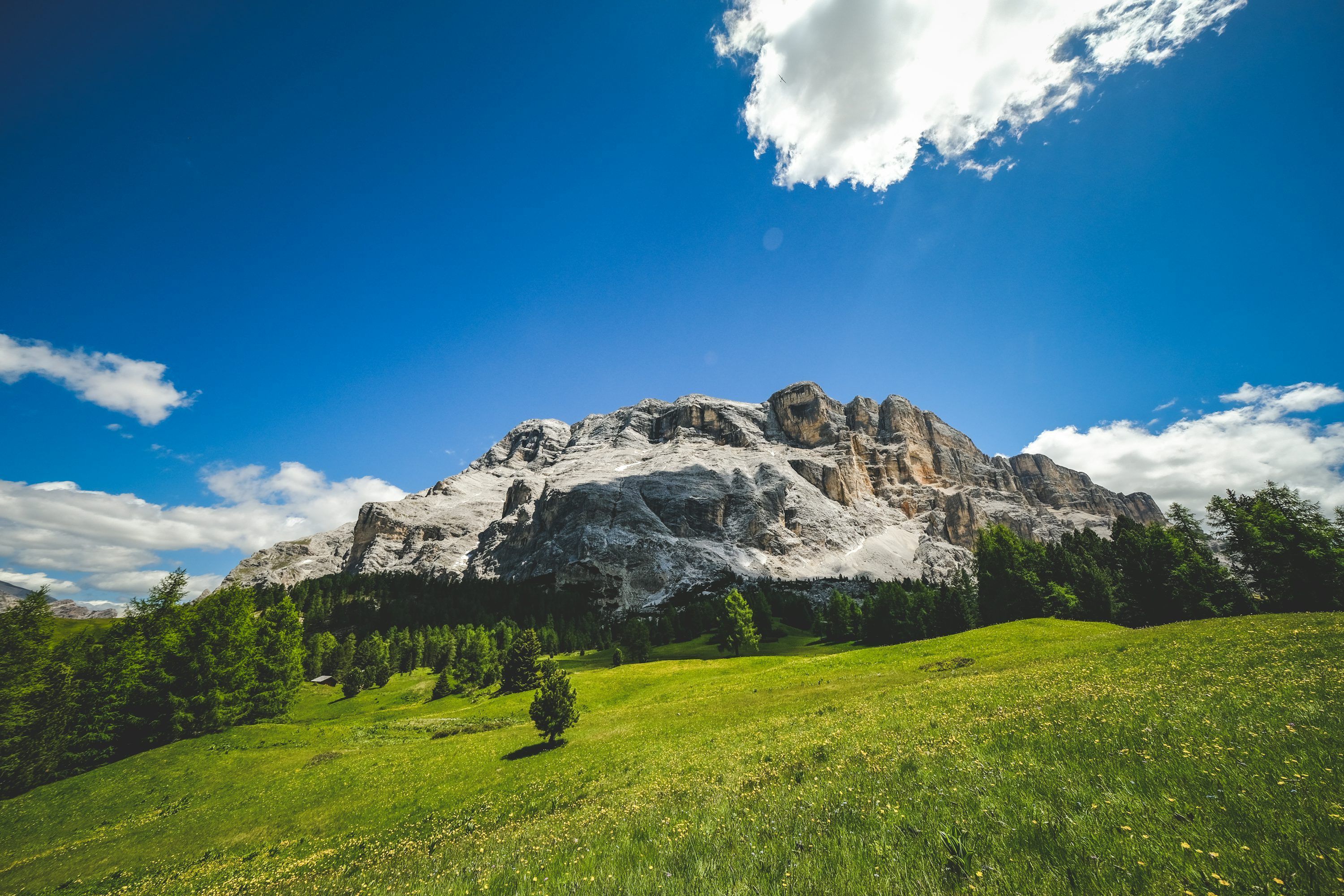 3000x2000 A green field with a mountain in