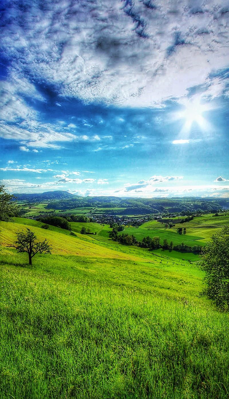 800x1393 field, land, HD phone wallpaper