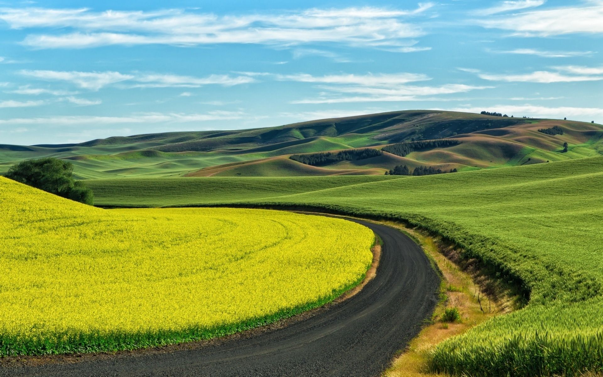 1920x1200 The Road and Green Field Wallpaper, HD