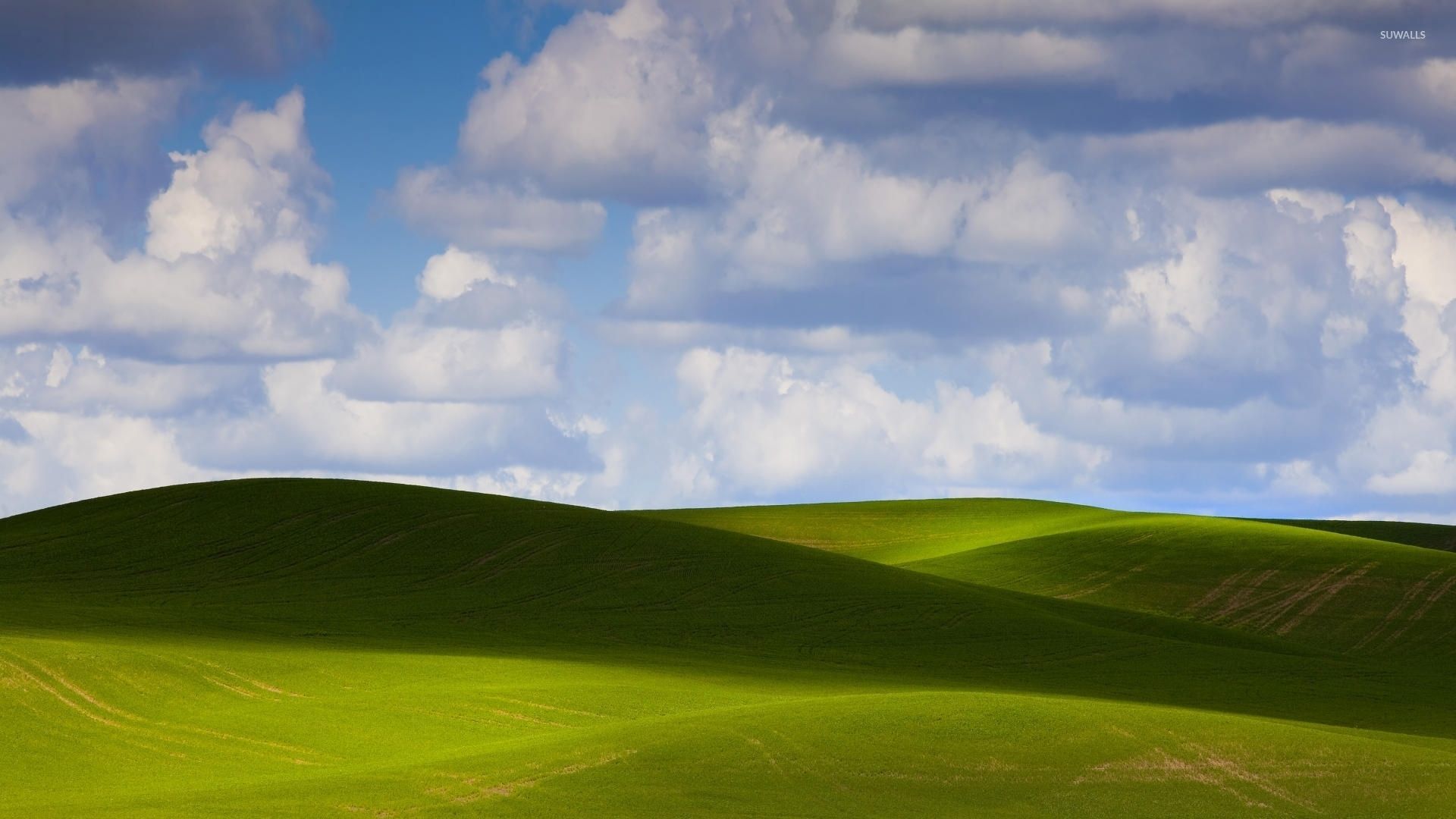 1920x1080 Fluffy clouds over the amazing green