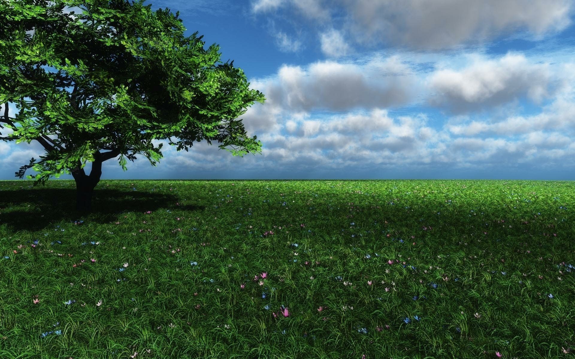 1920x1200 Flower Green Field Nature Tree HD Wallpaper