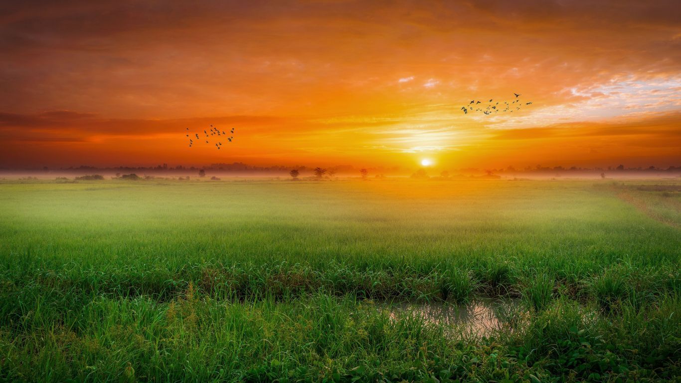 1366x768 sunset, nature, landscape, tablet