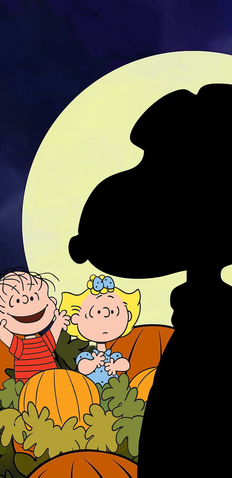 800x1644 HD great pumpkin wallpaper