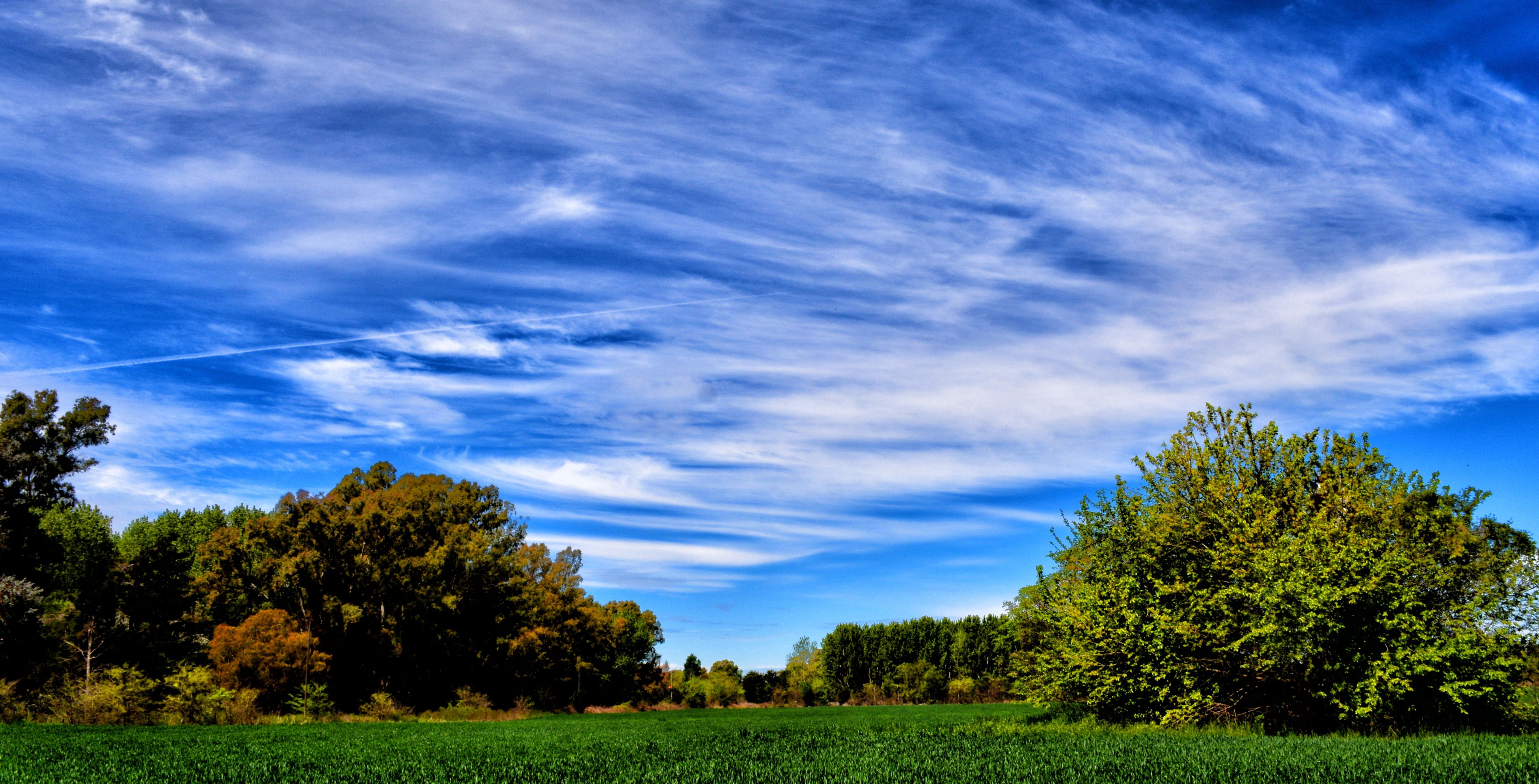 5330x2717 Greenfield with trees under cloudy sky
