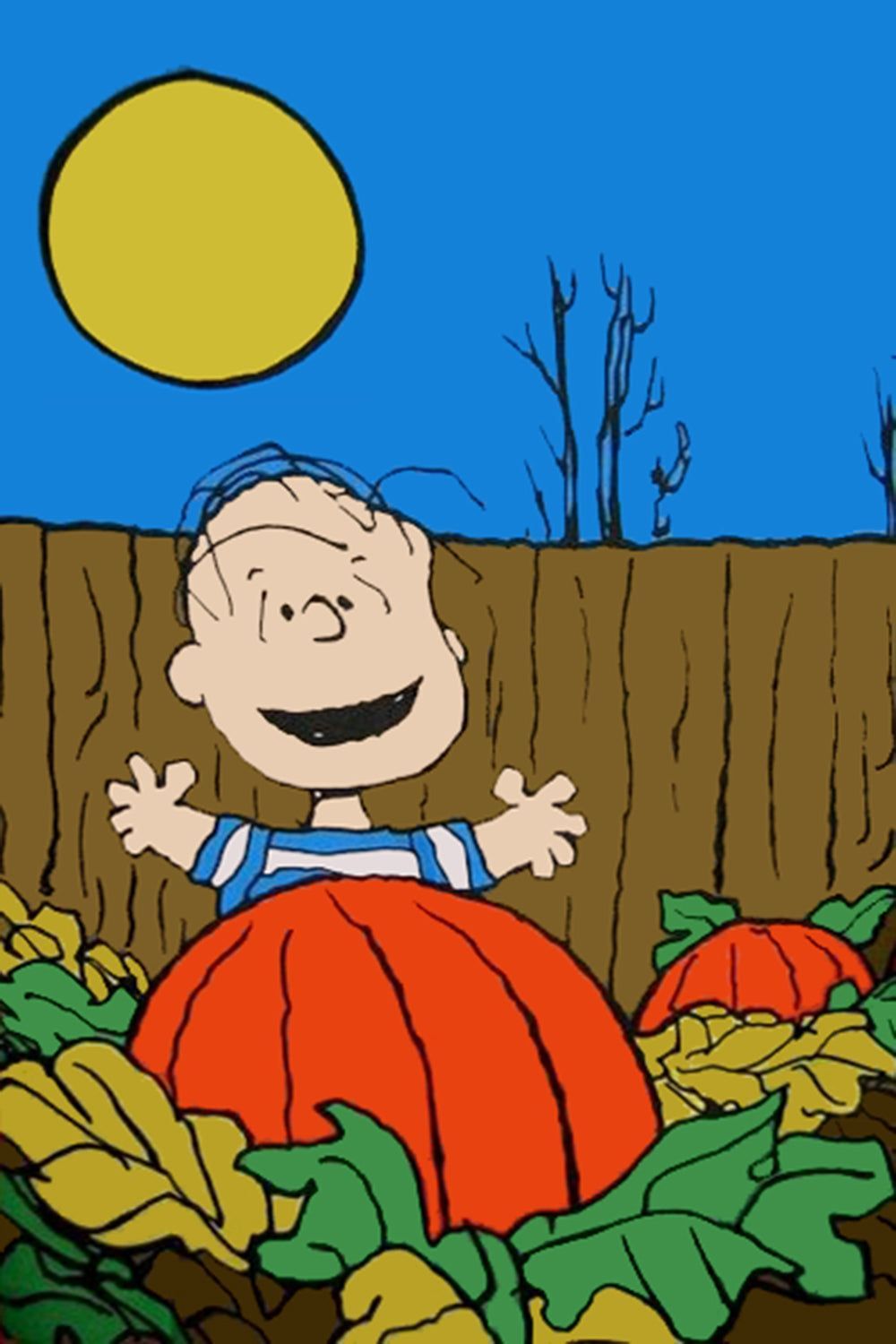 1000x1500 Peanuts Double Sided Flag