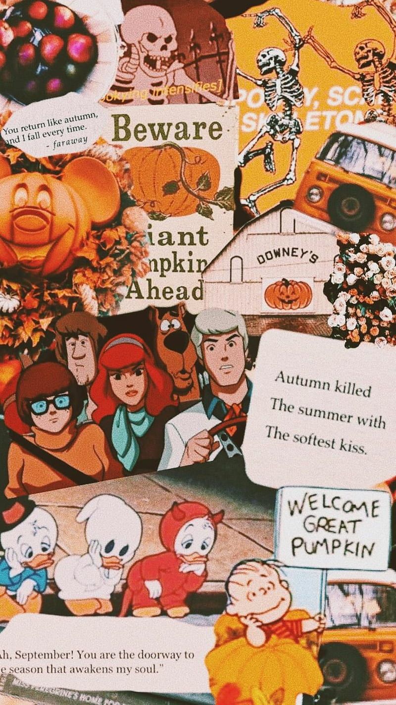 800x1423 HD the great pumpkins wallpaper