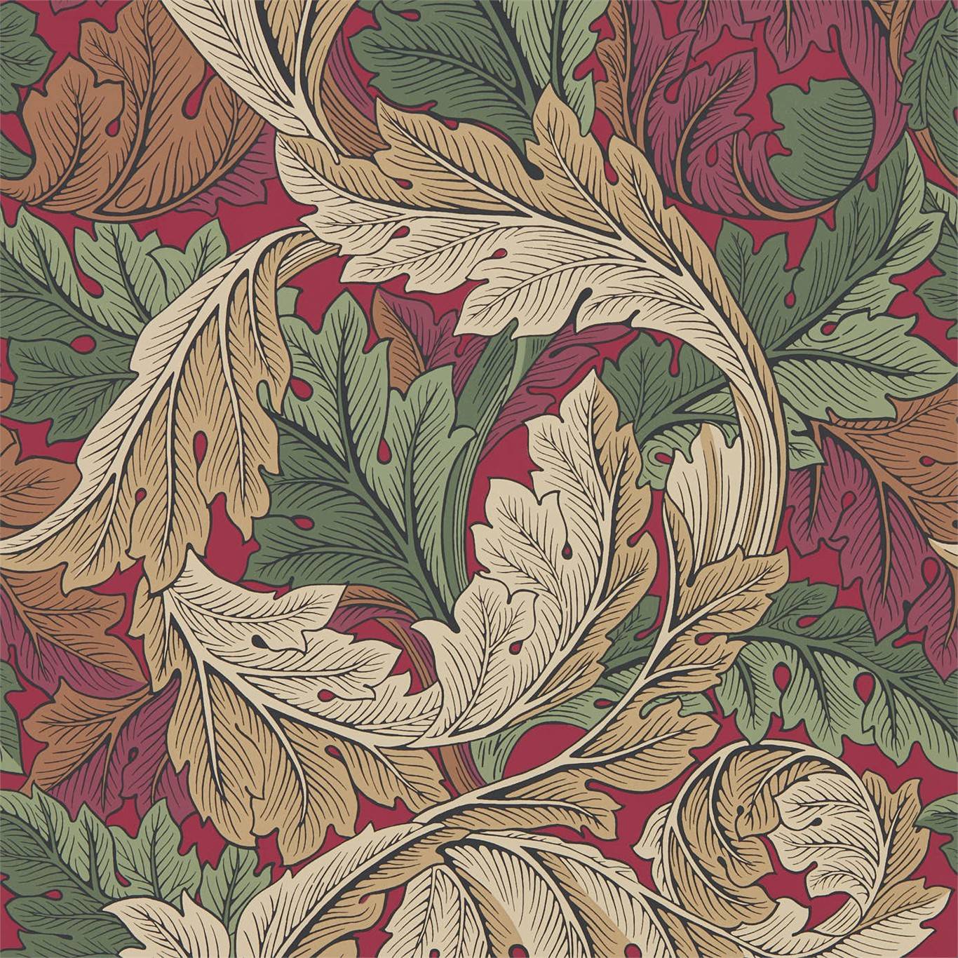 1366x1366 Morris And Co Acanthus Madder Thyme Wallpaper 216439