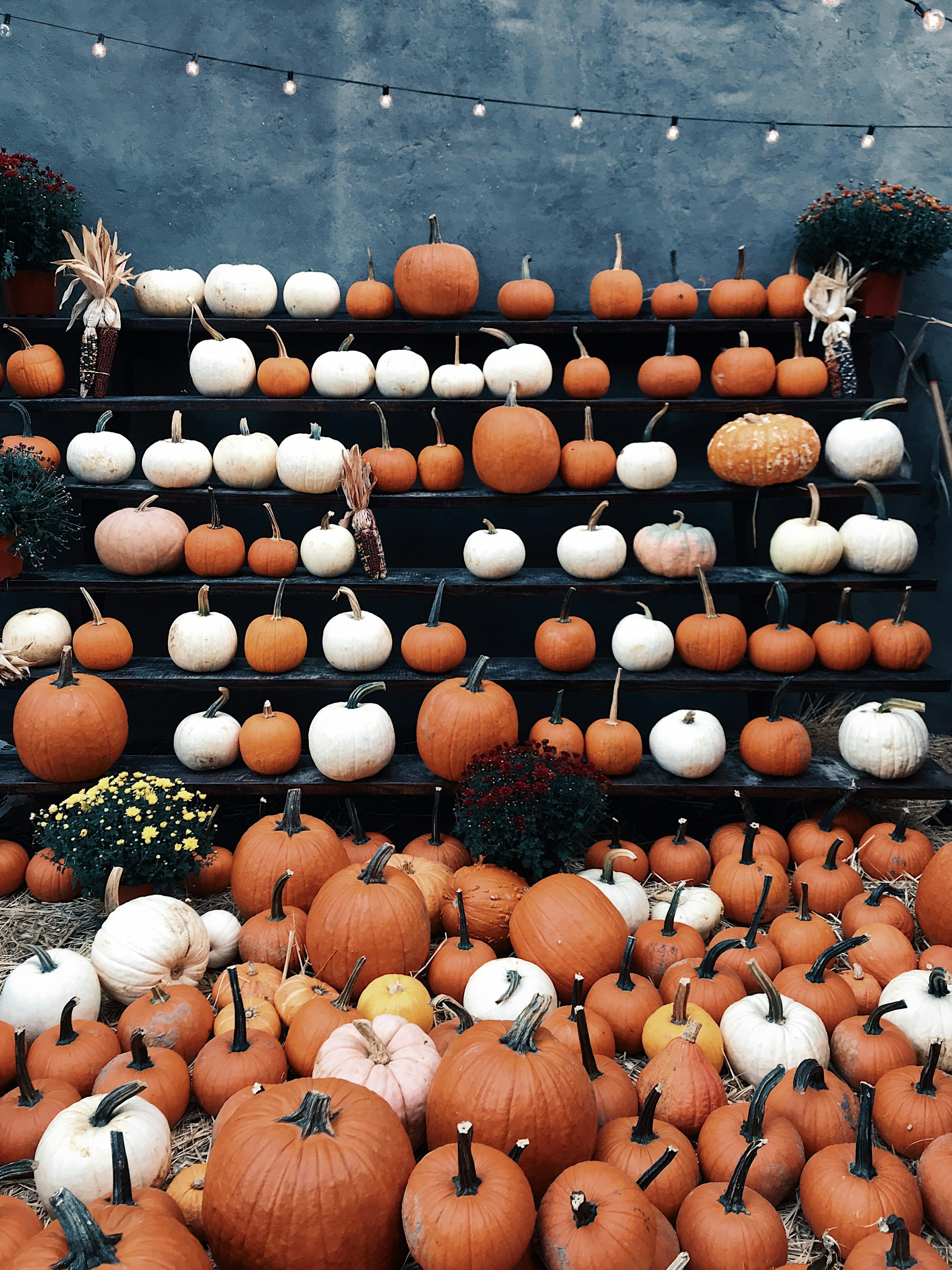 3000x4000 Halloween Wallpaper: Free HD Download