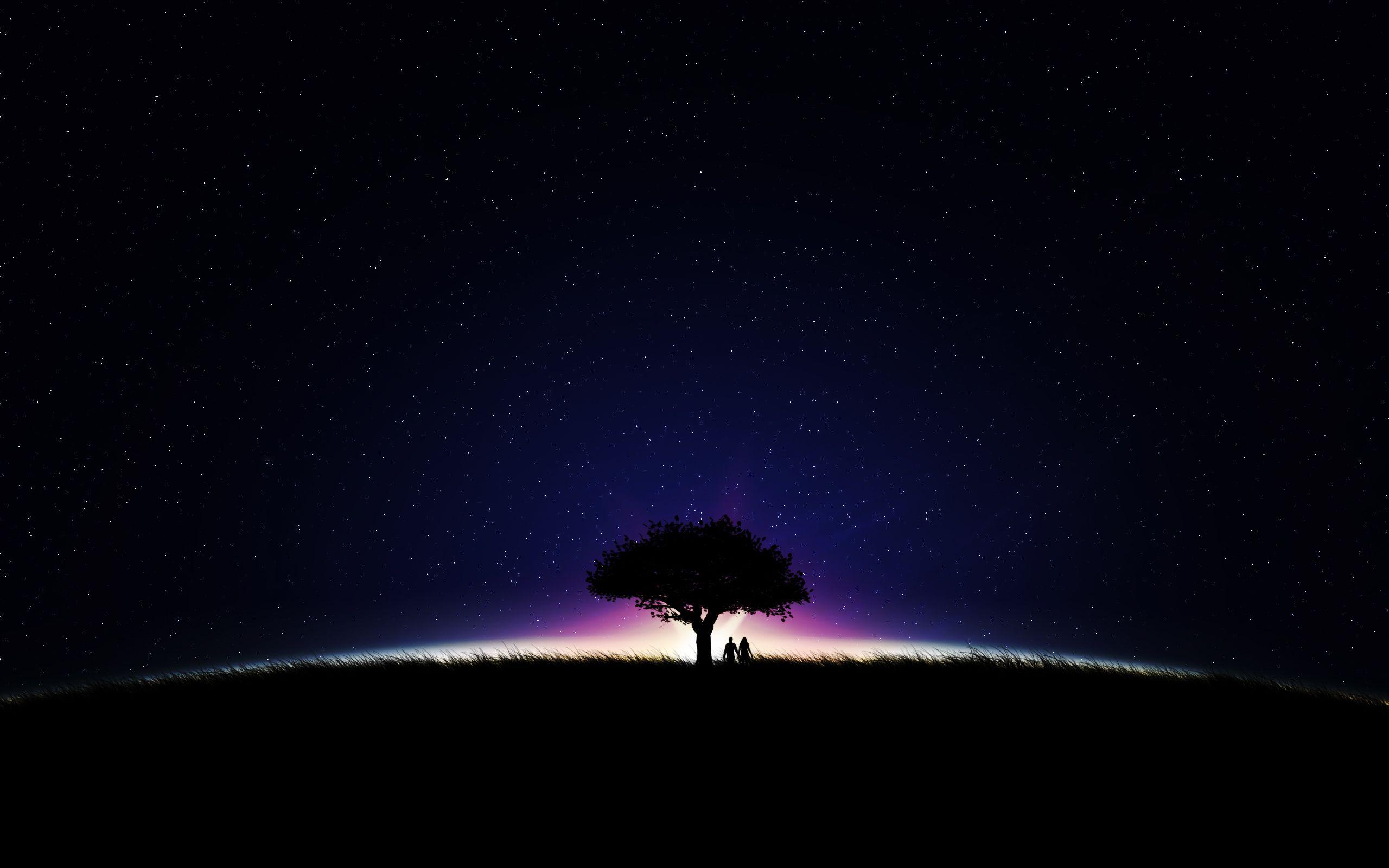 2560x1600 Wallpaper Couple, Romantic, Night, Stars, Silhouette, HD, Creative