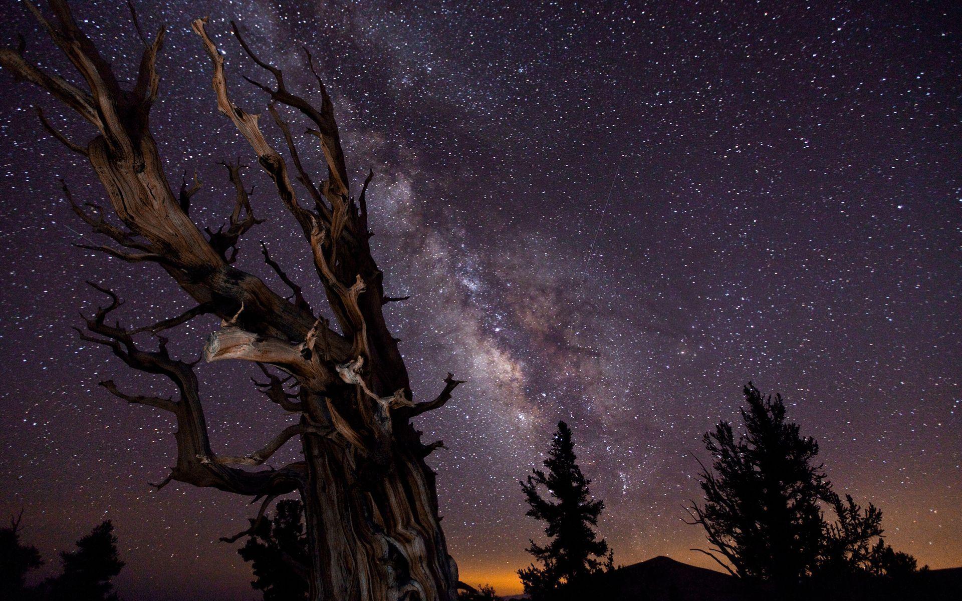 1920x1200 Night Sky Stars Wallpaper