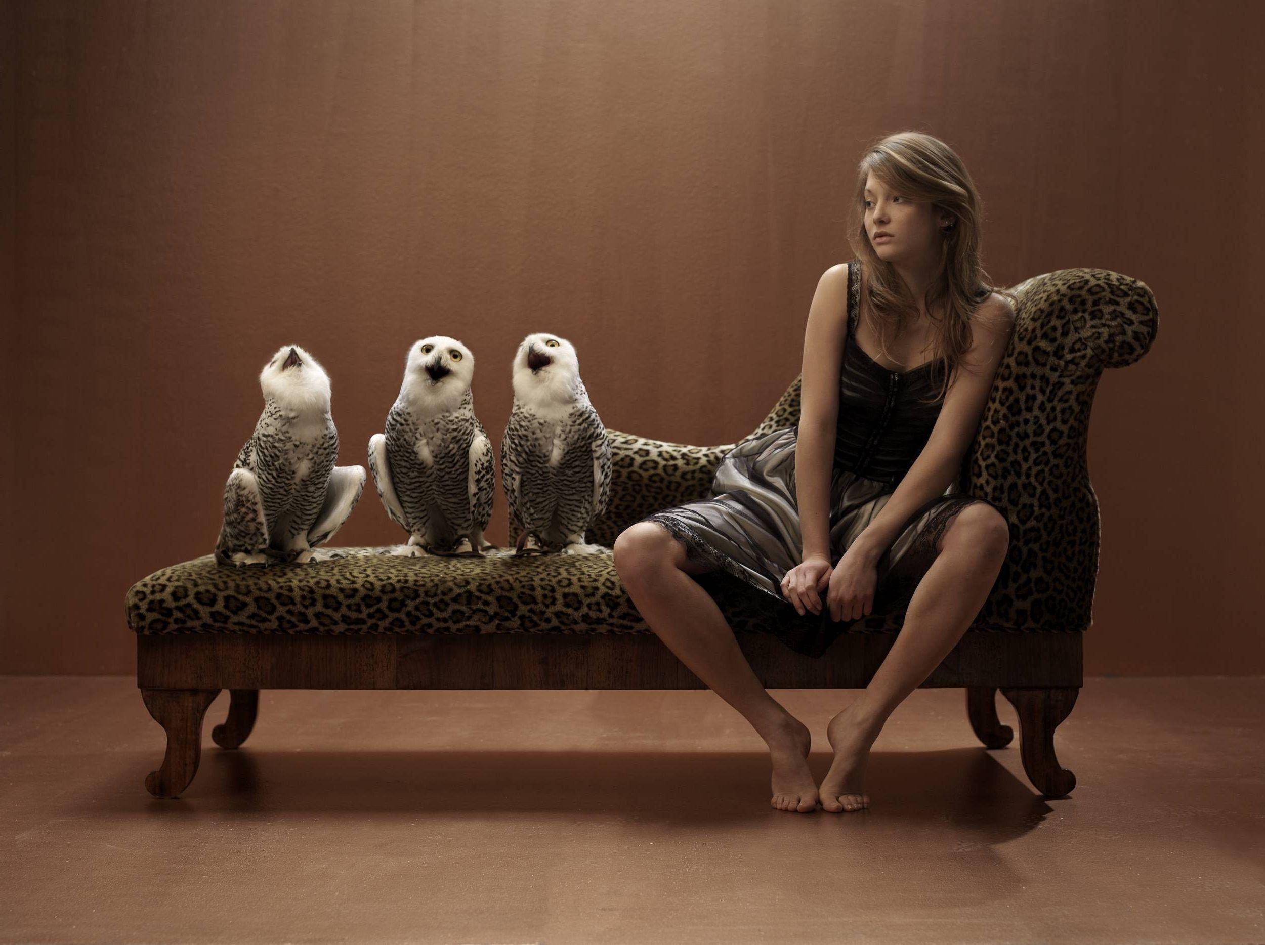 Hình nền 2500x1868 Girl and Funny Owls HD / Desktop and Mobile