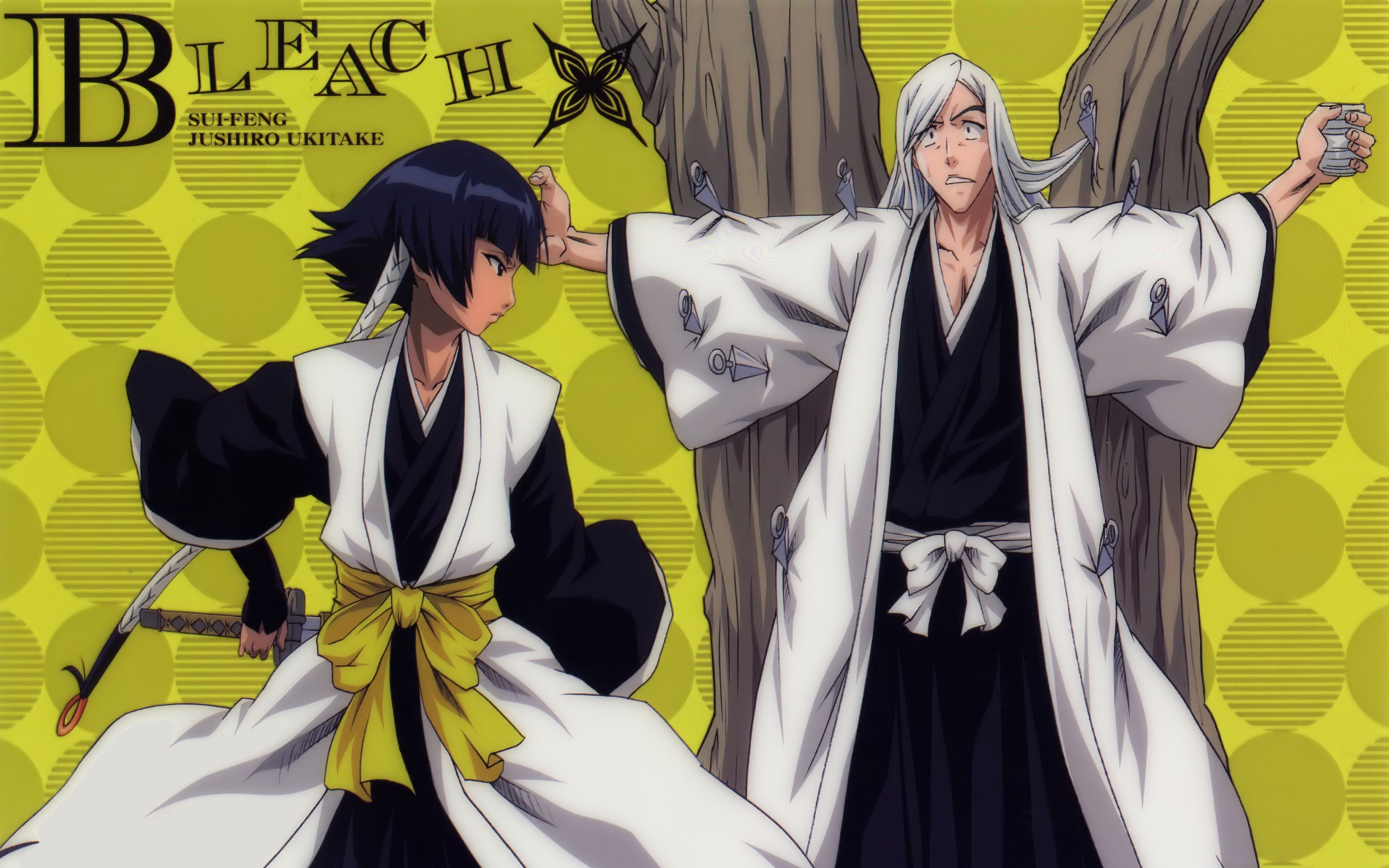 4000x2500 Wallpaper game, Bleach, anime, asian