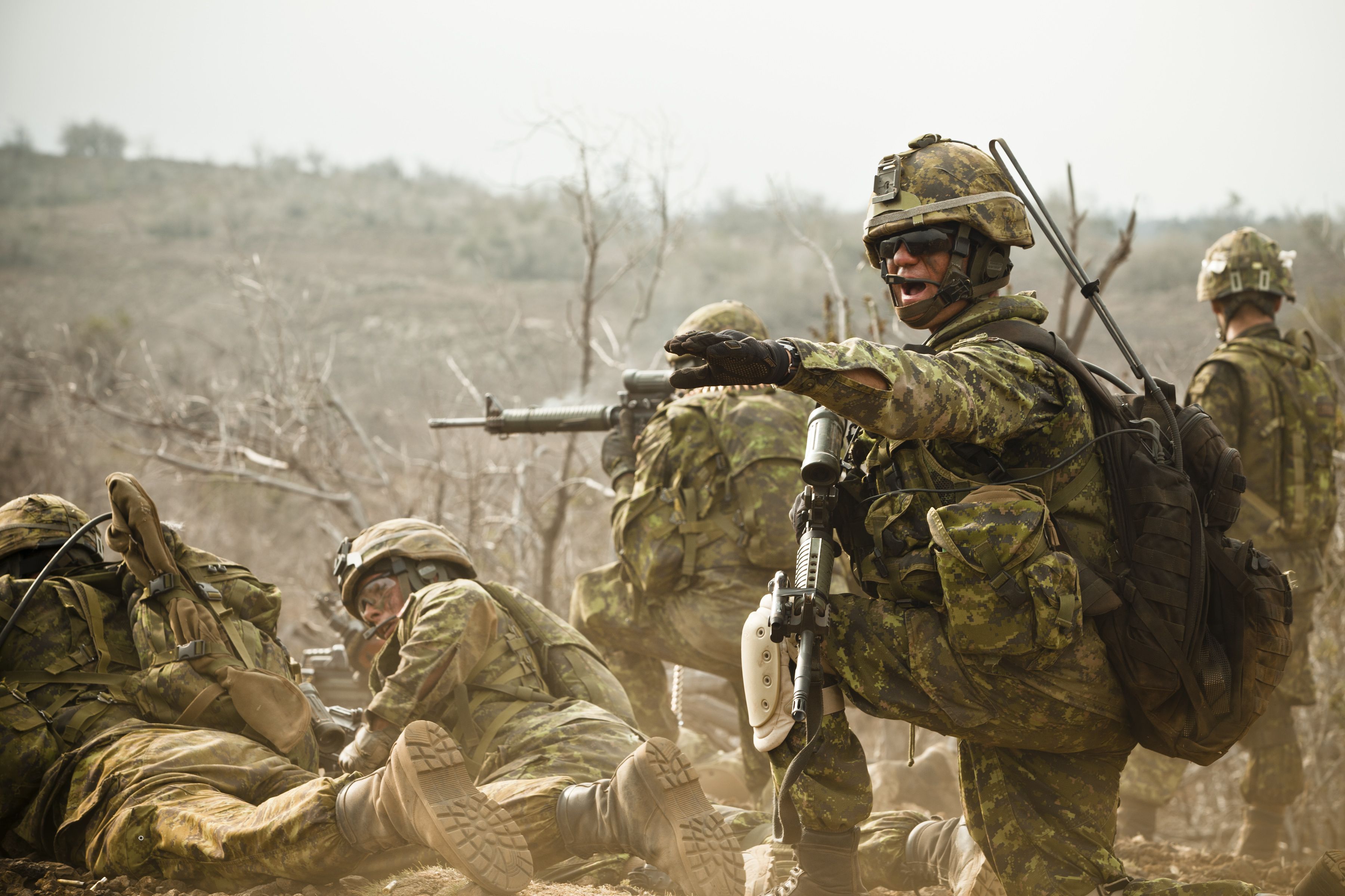 3600x2400 Canadian Army Warrant Officer Robby