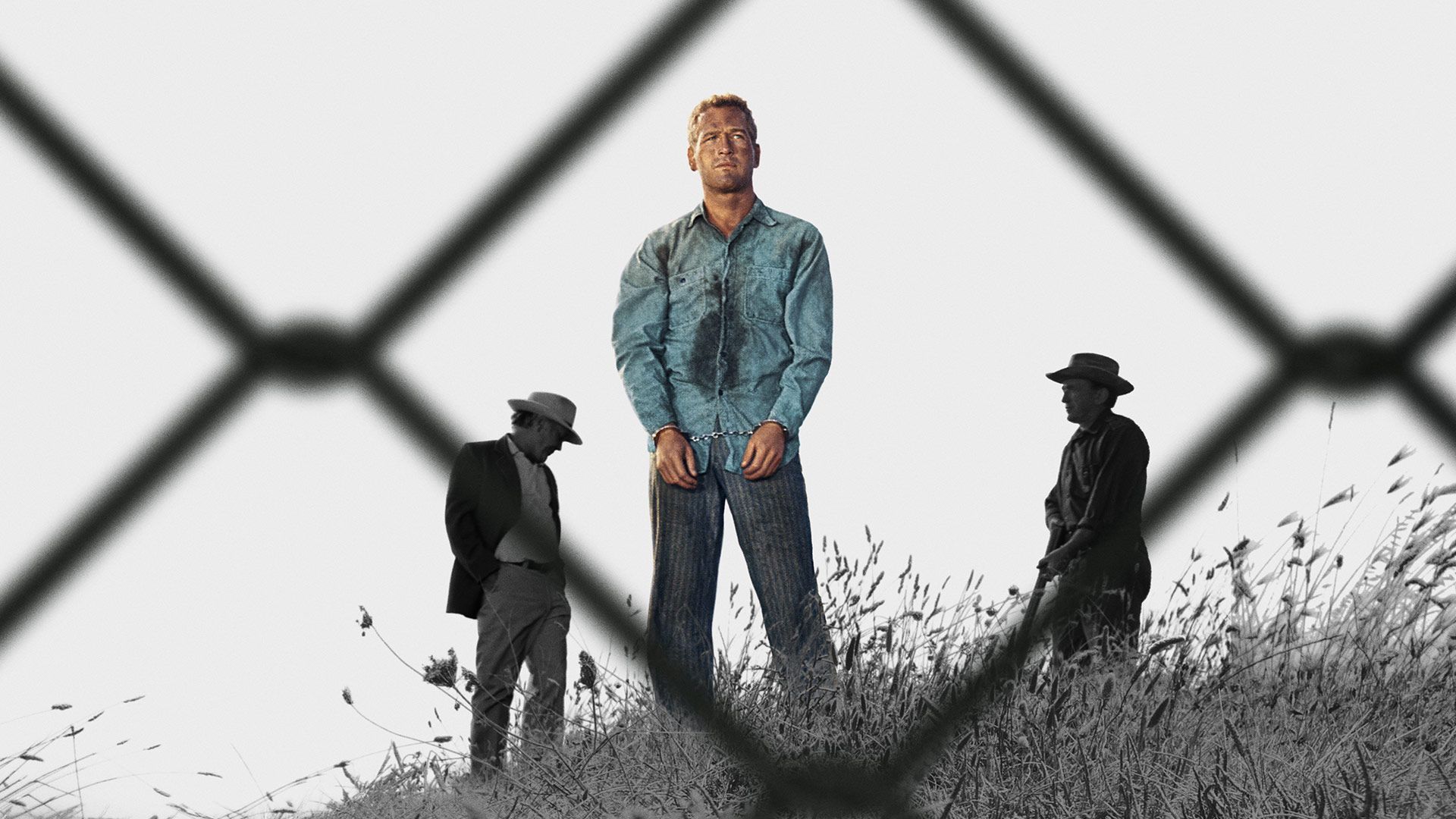 1920x1080 BOND. Cool Hand Luke Steelbook