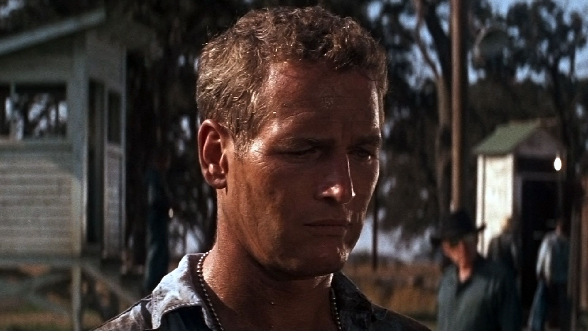 1920x1080 Bohica: Cool Hand Luke (1967) * * *