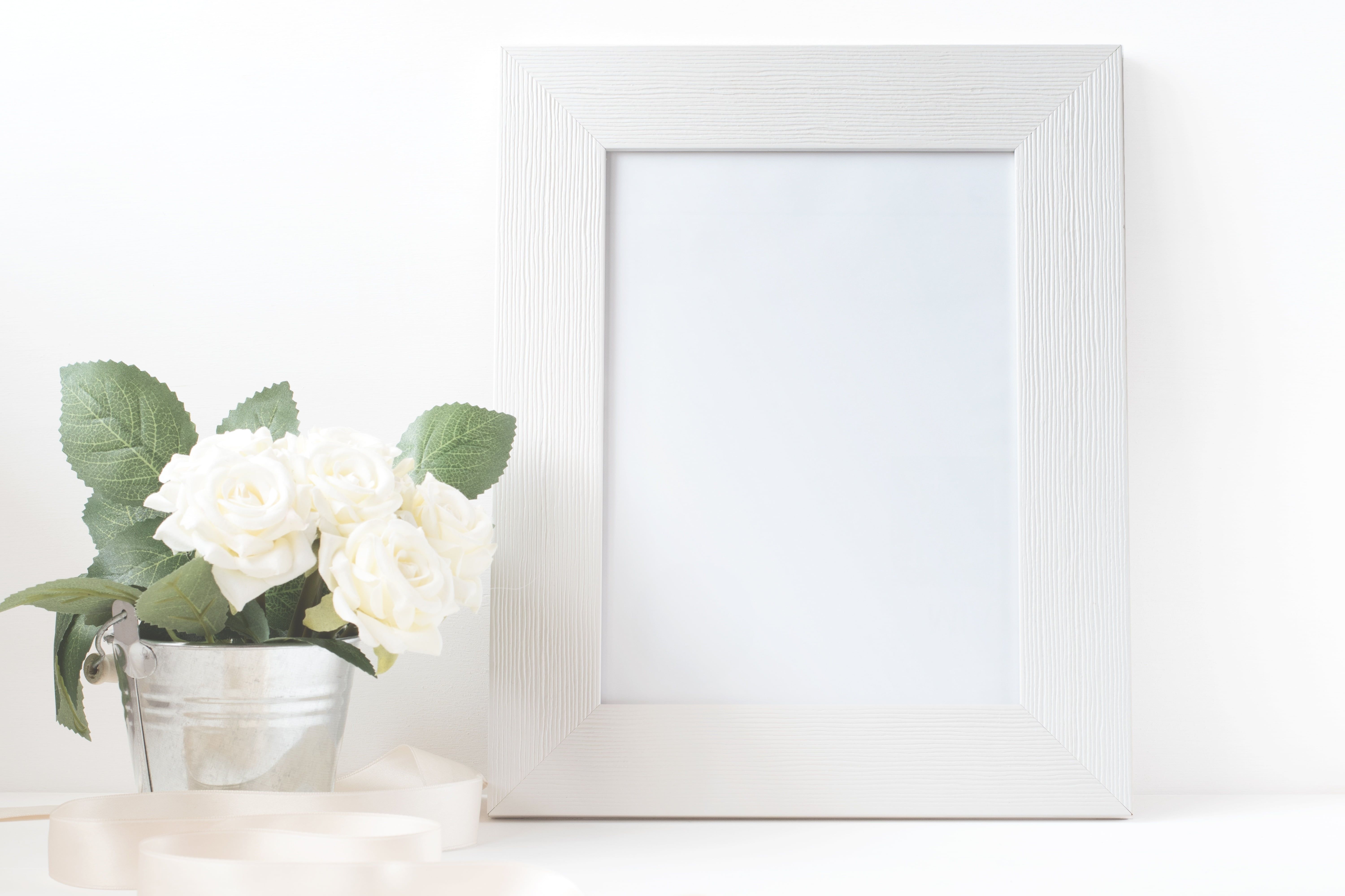 6000x4000 White photo frame and white roses