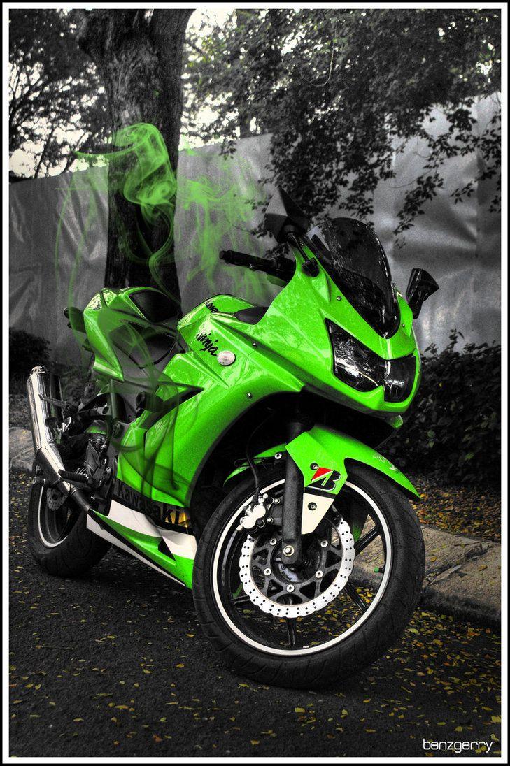 729x1096 Ninja 250R 5
