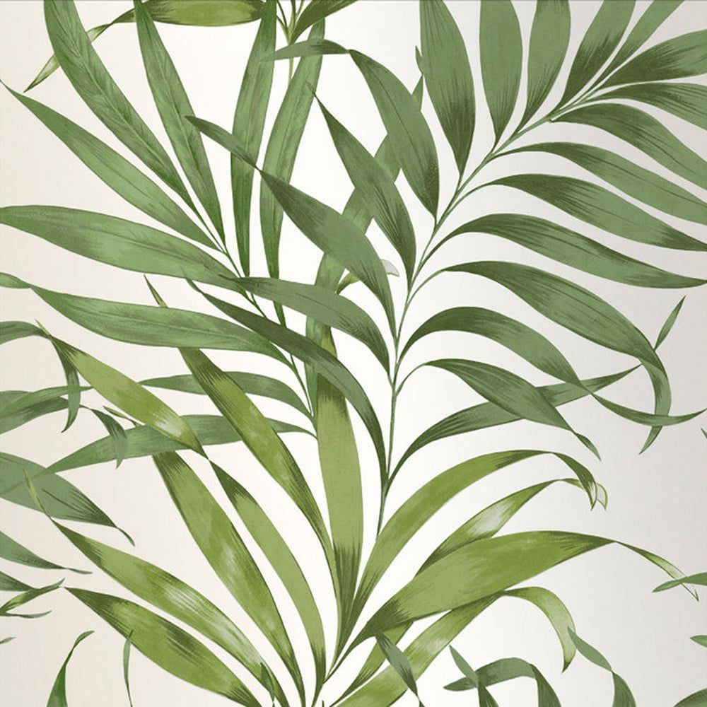 1000x1000 Yasuni Lush Green Wallpaper & Brown