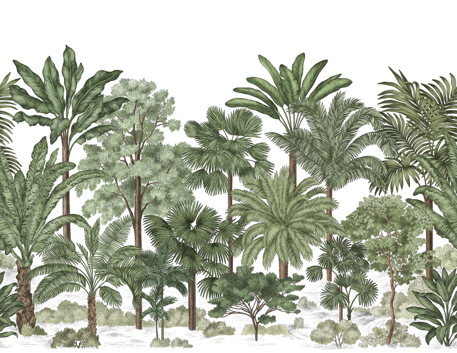 1553x1200 Tropical Bellewood Lush