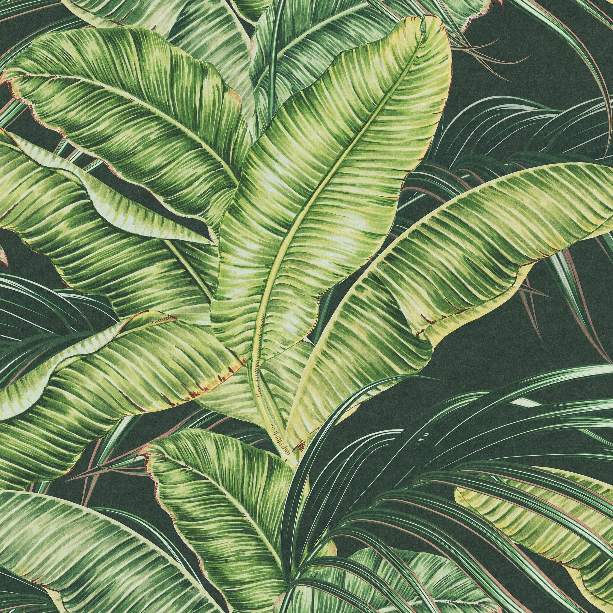 2048x2048 Sterlitzia Tropical Leaves Wallpaper Luxe Traditional / 6 ft (H) x 19