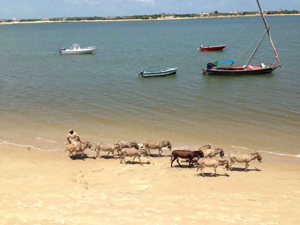1024x768 Lamu Cheat Sheet Lindblad Travel